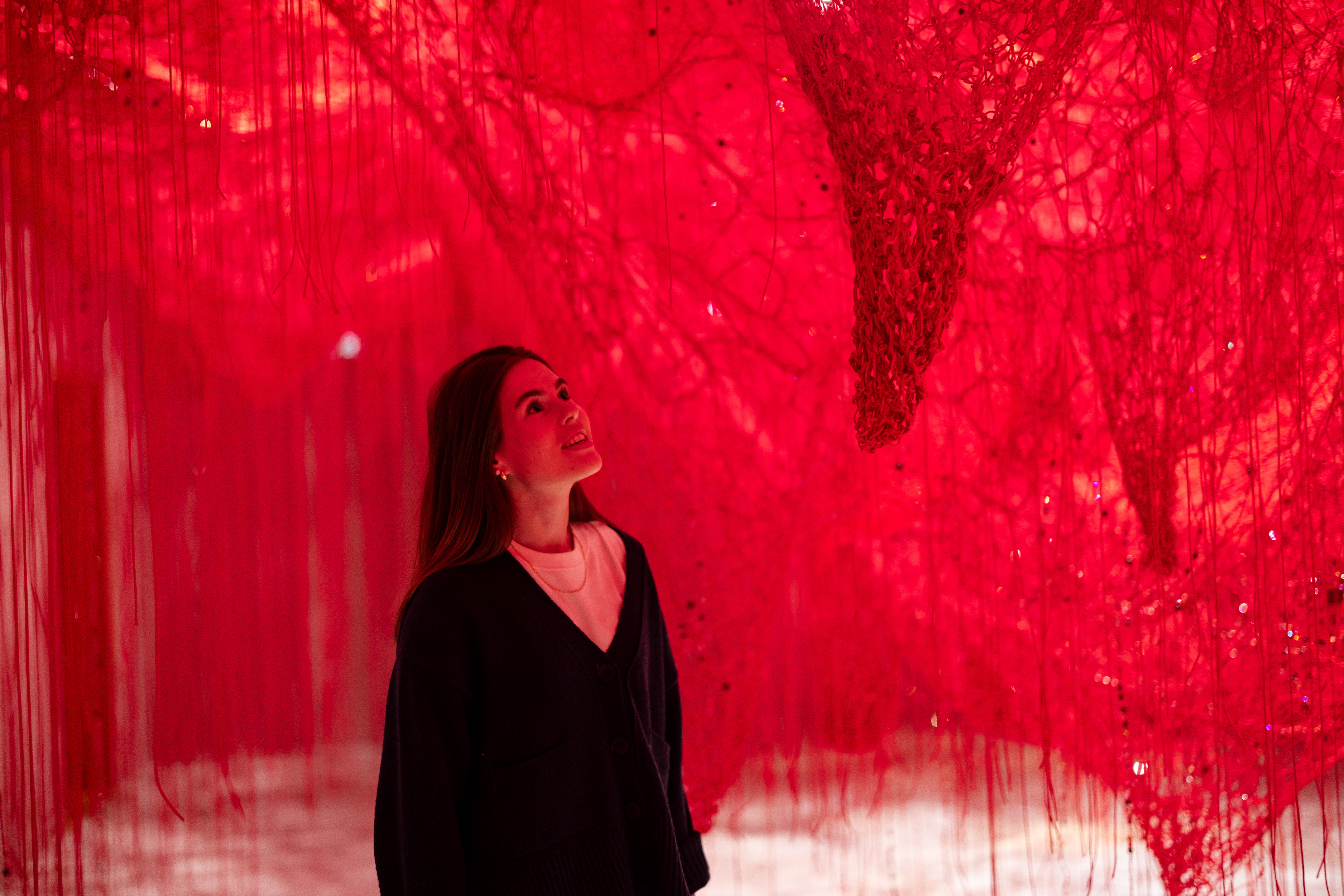 Wunderkammer Crystallizing Identity