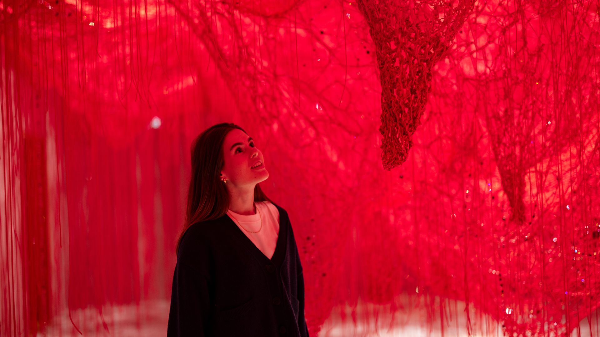 Wunderkammer Crystallizing Identity