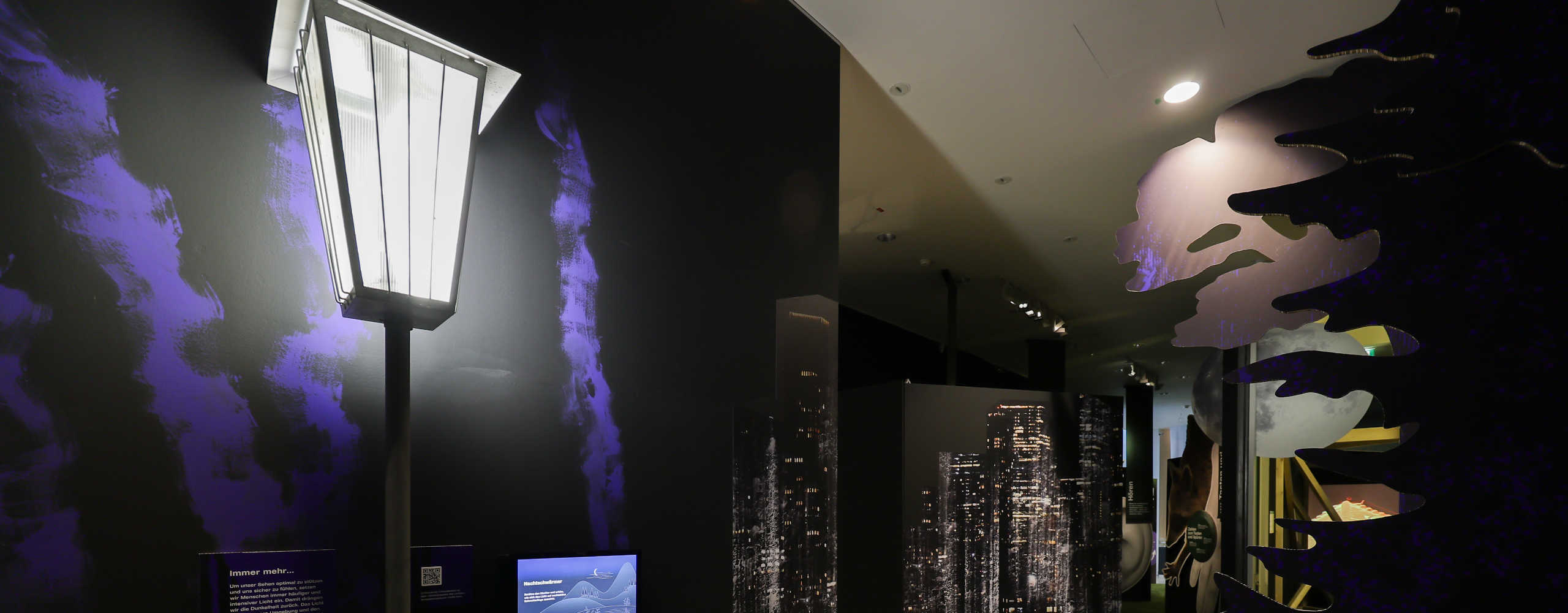Special exhibition Entrance Animals of the Night