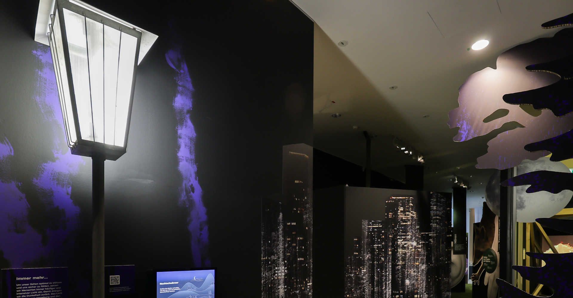 Sonderausstellung Eingang Tiere der Nacht