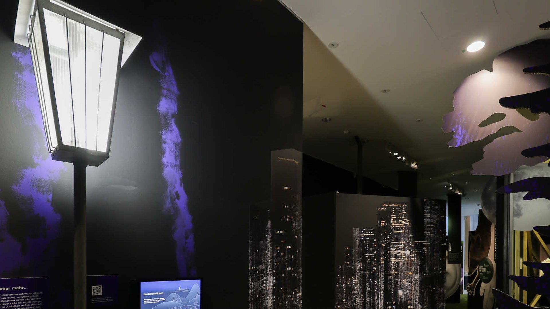 Special exhibition Entrance Animals of the Night