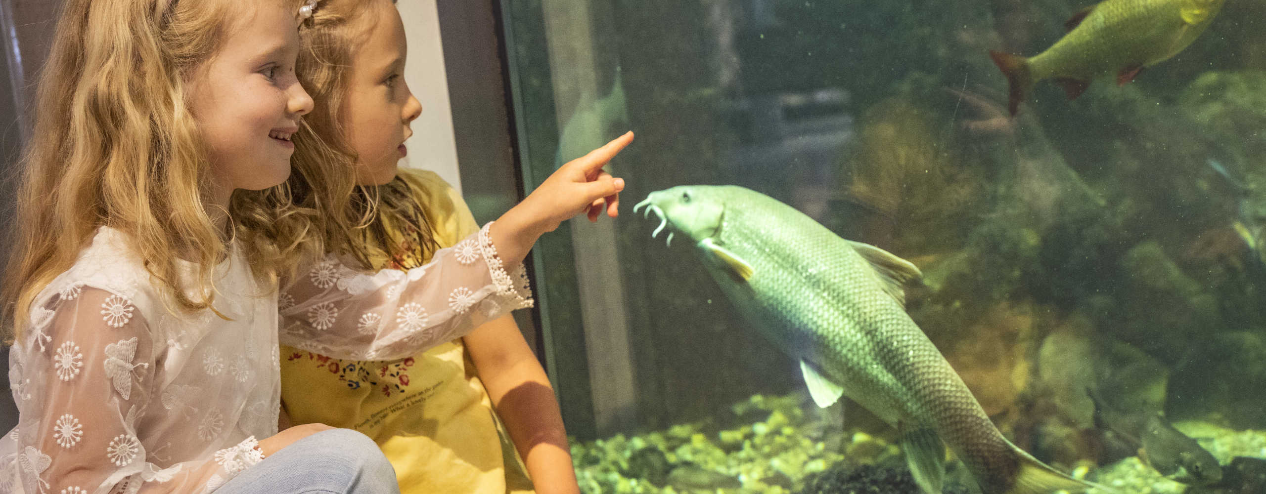 Children at Aquarium