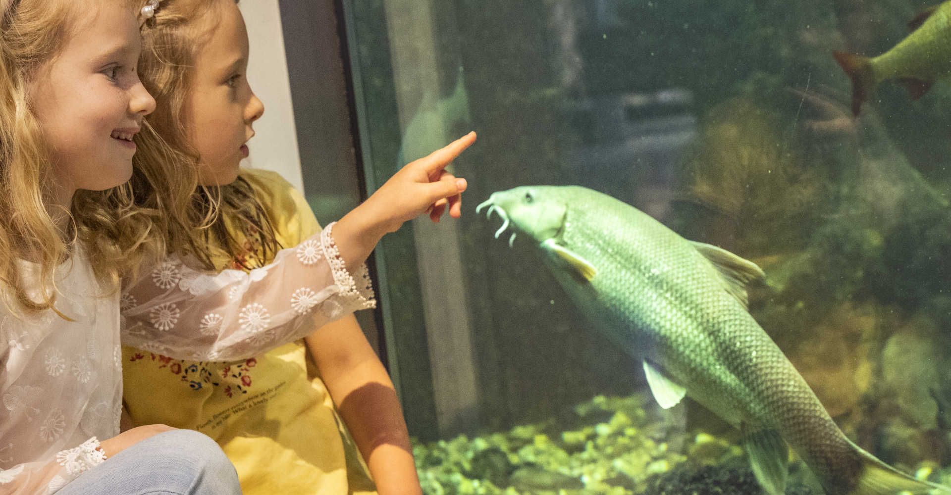 Kinder bei Aquarium