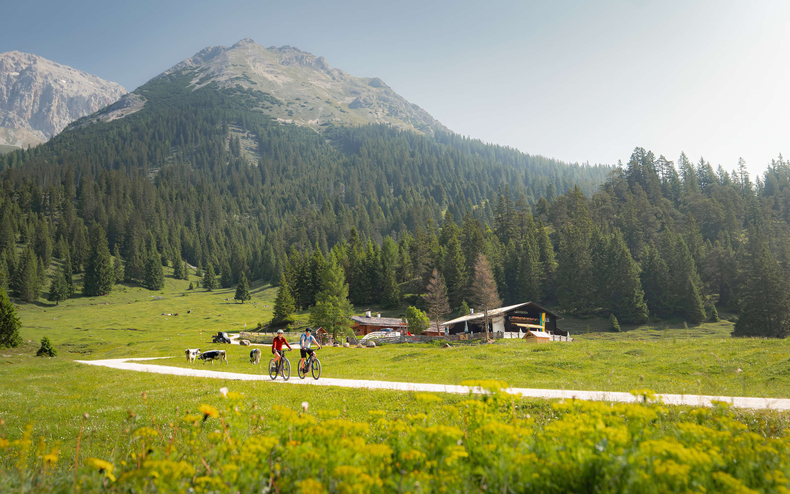 E-Biken im Gaistal im Sommer zwei Biker_innen fahren vor der Gaistalalm