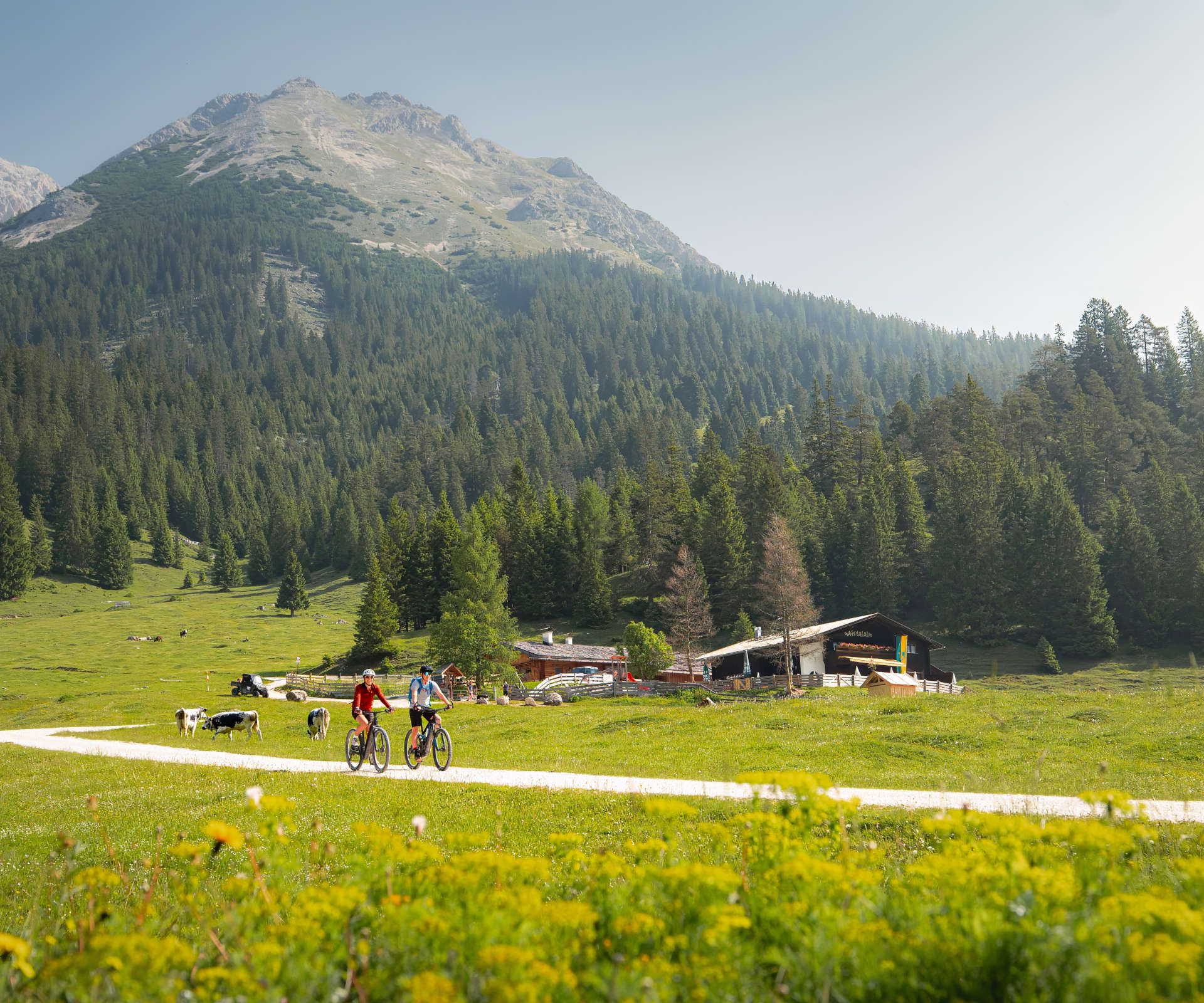 E-Biken im Gaistal im Sommer zwei Biker_innen fahren vor der Gaistalalm