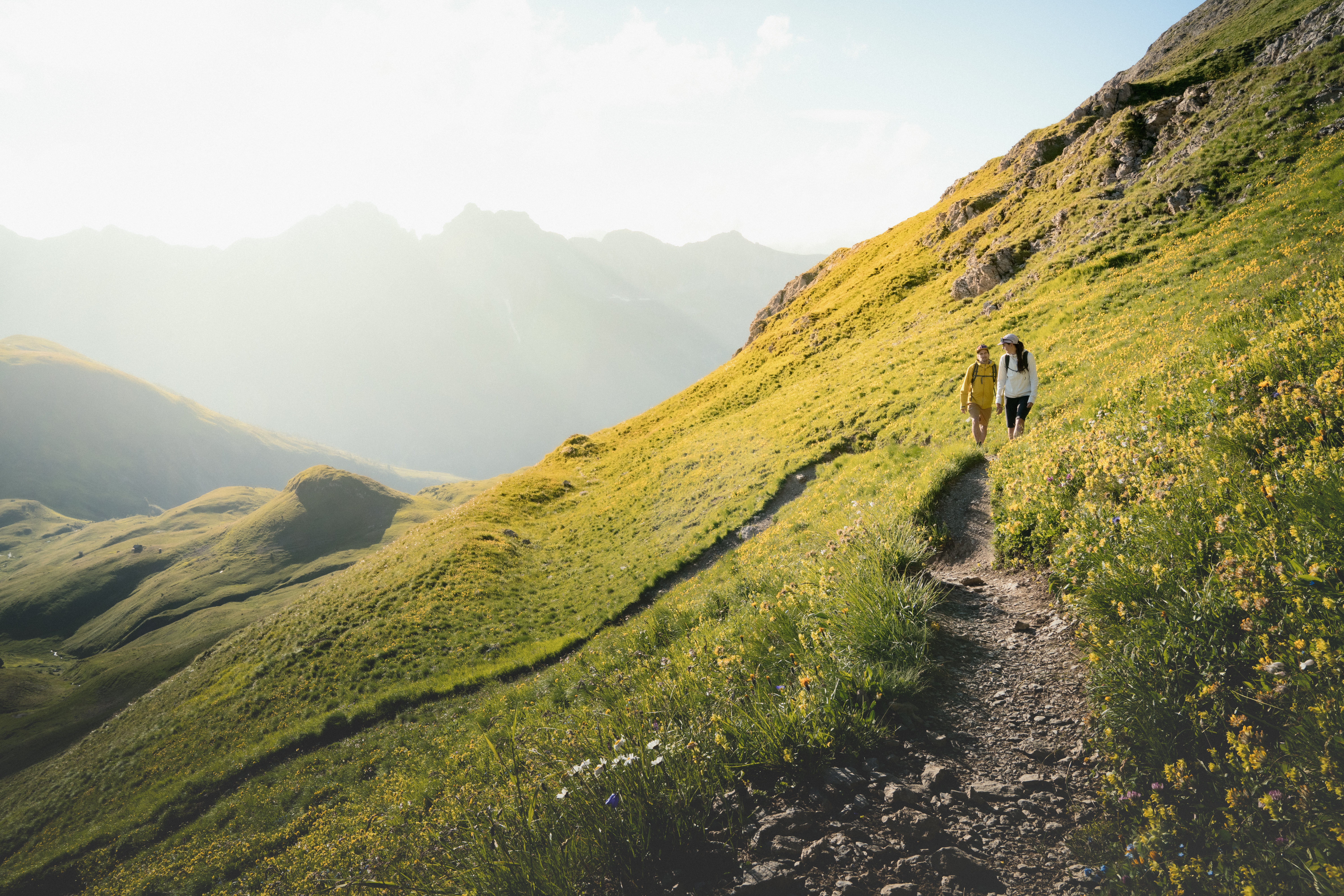 Hirschpleiskopf Wanderung