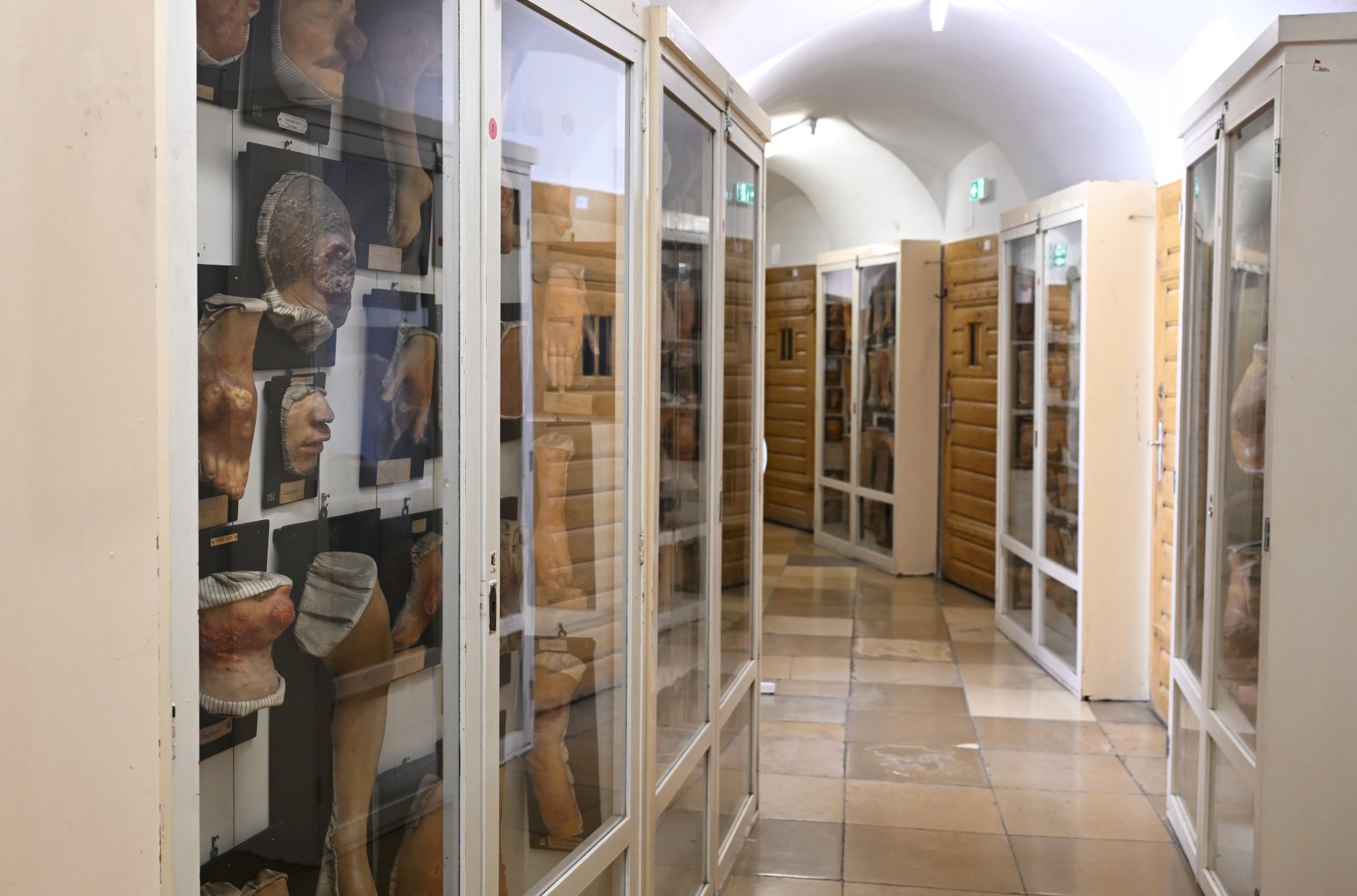 Studiensammlung