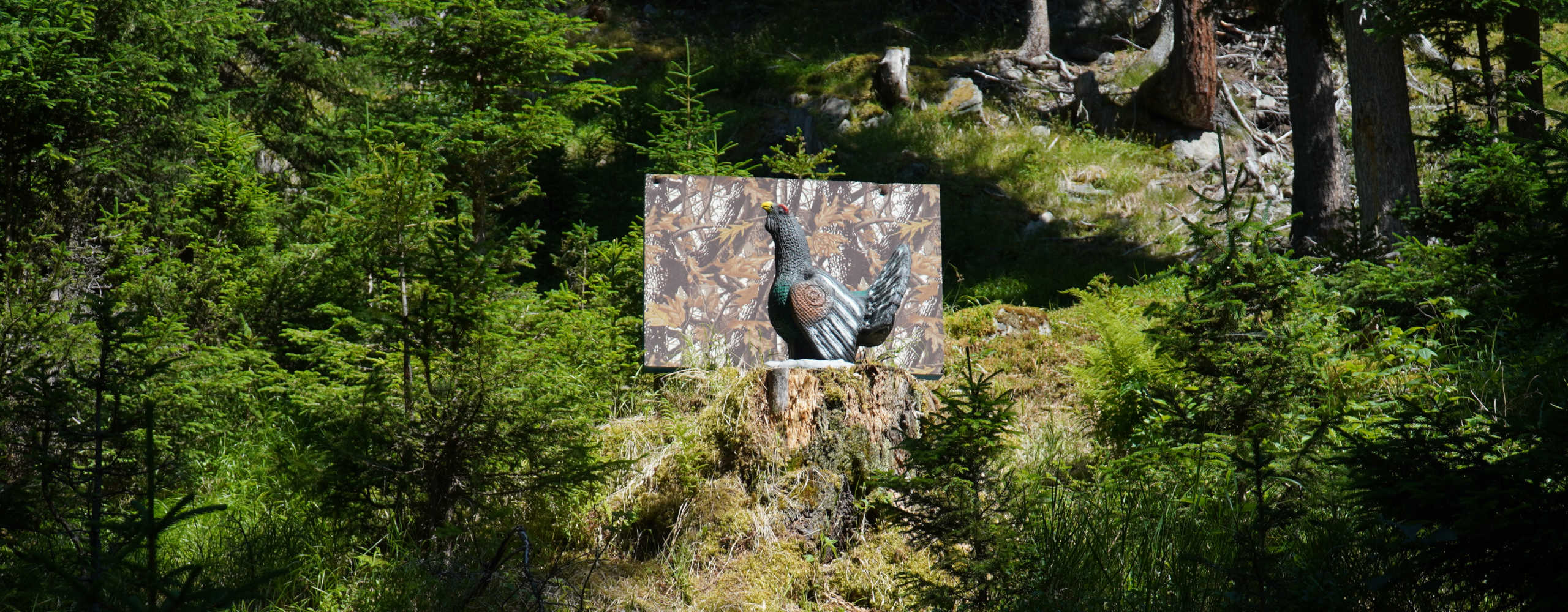 Zielscheibe im Wald 