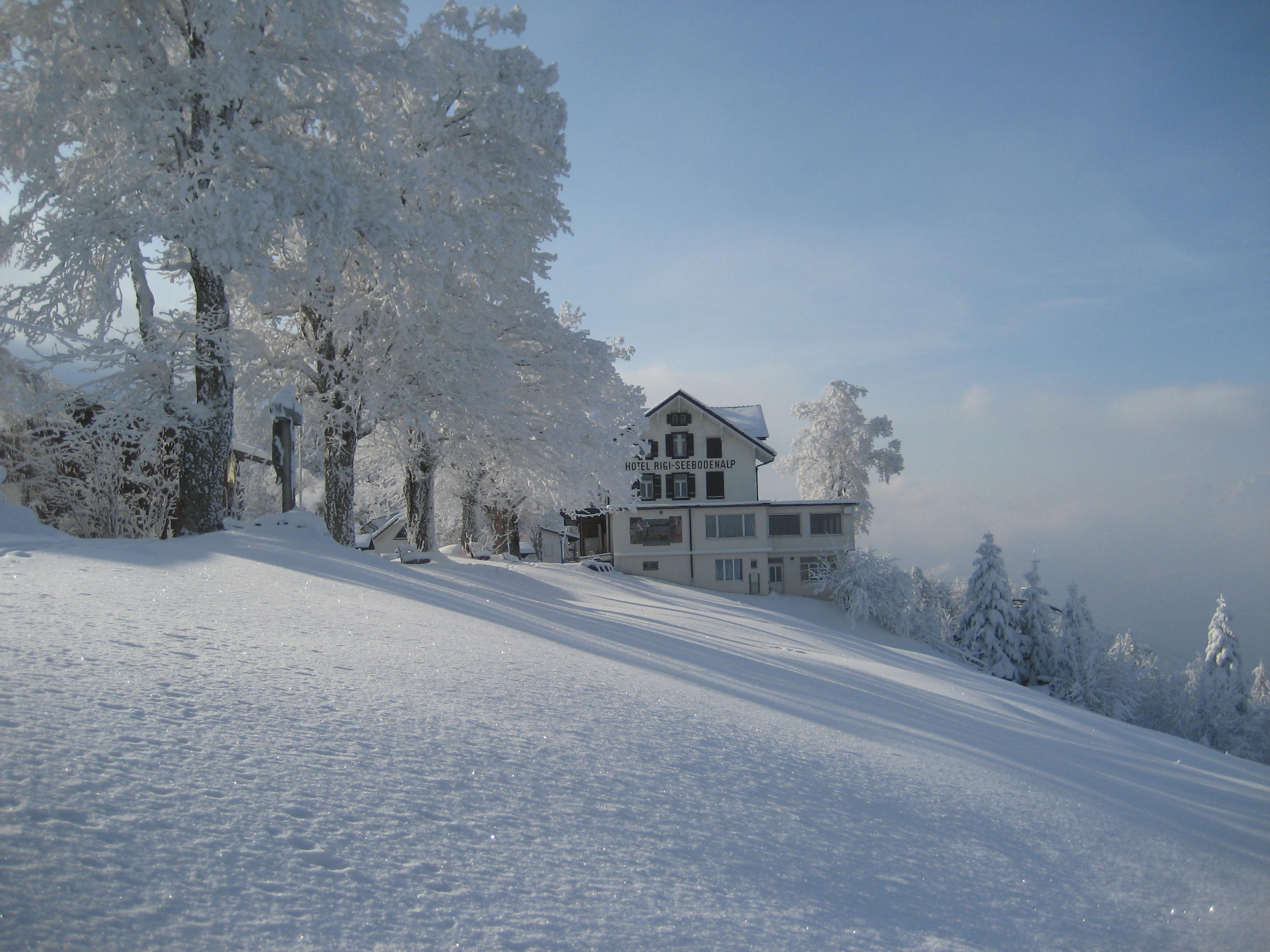 Hotel Rigi-Seebodenalp - Hotel Seebodenalp im Winter