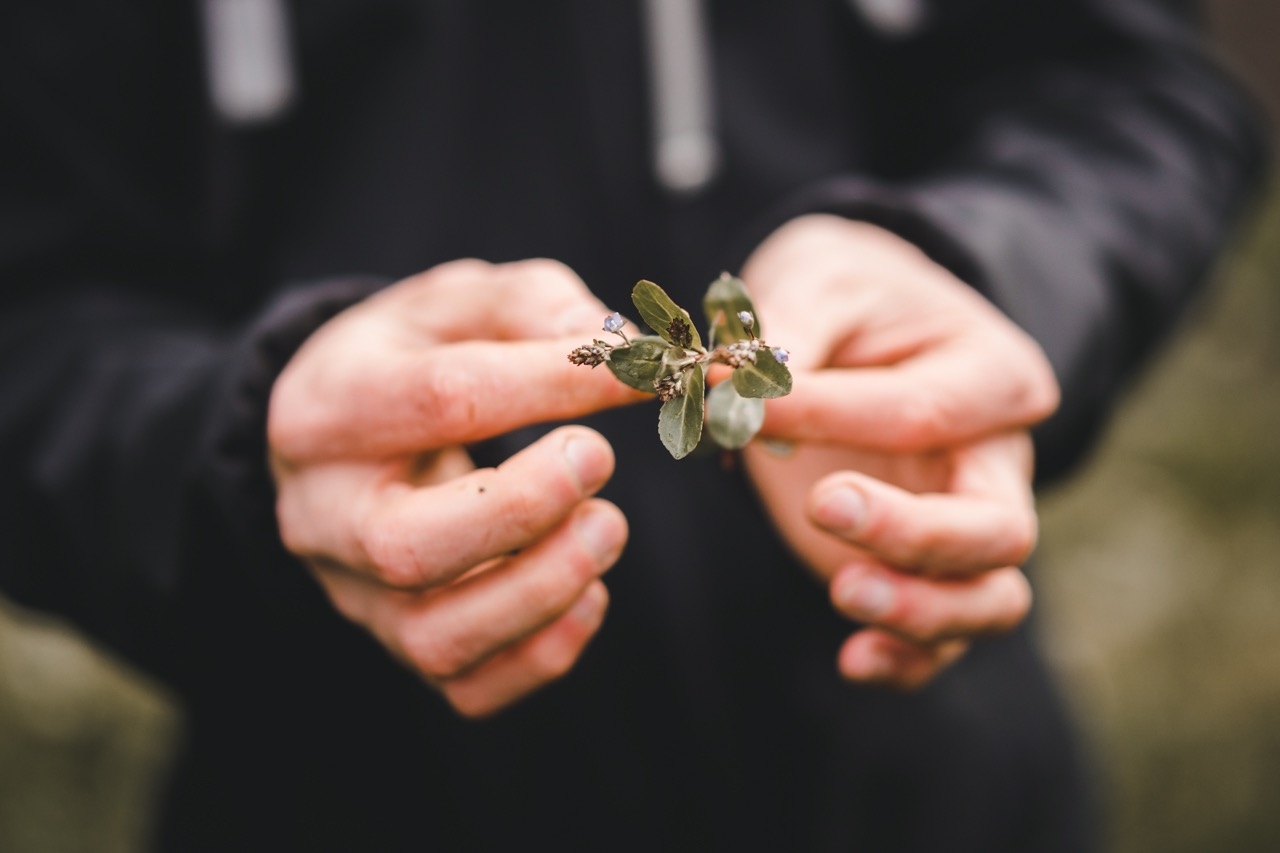 FLORA EXKURSION MIT DOMINIK IMHOF