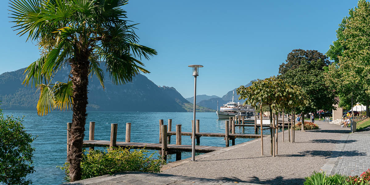 mys-Riviera Excursion-SGV_Riviera_Rundreise_Sommer_Weggis