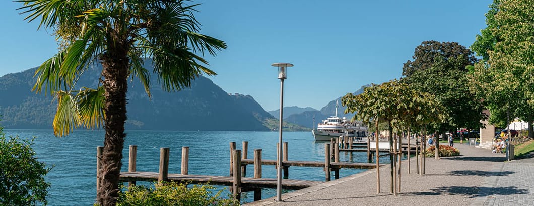 mys-Riviera Rundreise-SGV_Riviera_Rundreise_Sommer_Weggis mys-Riviera Rundreise-SGV_Riviera_Rundreise_Sommer_Weggis