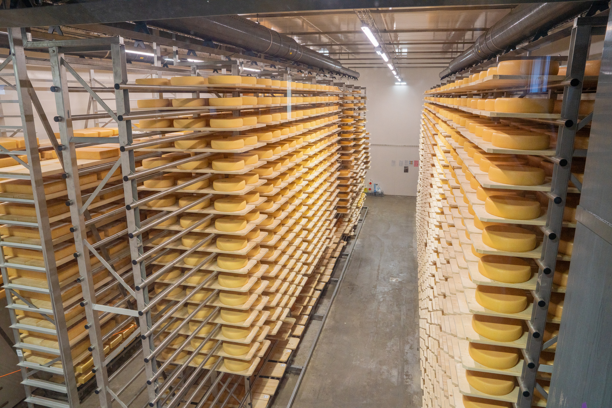 mys-Visite de l’espace découverte de la fromagerie avec apéritif Premium | Marbach-Bild 7