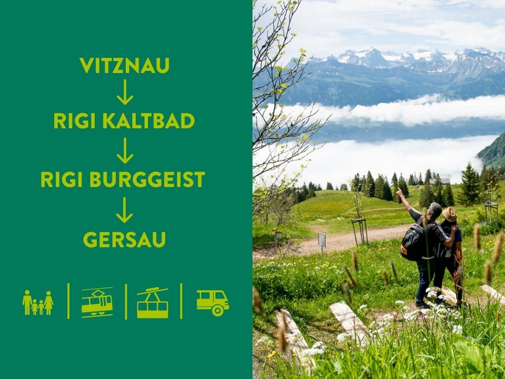 Rigi Südseitensafari Header Sommer