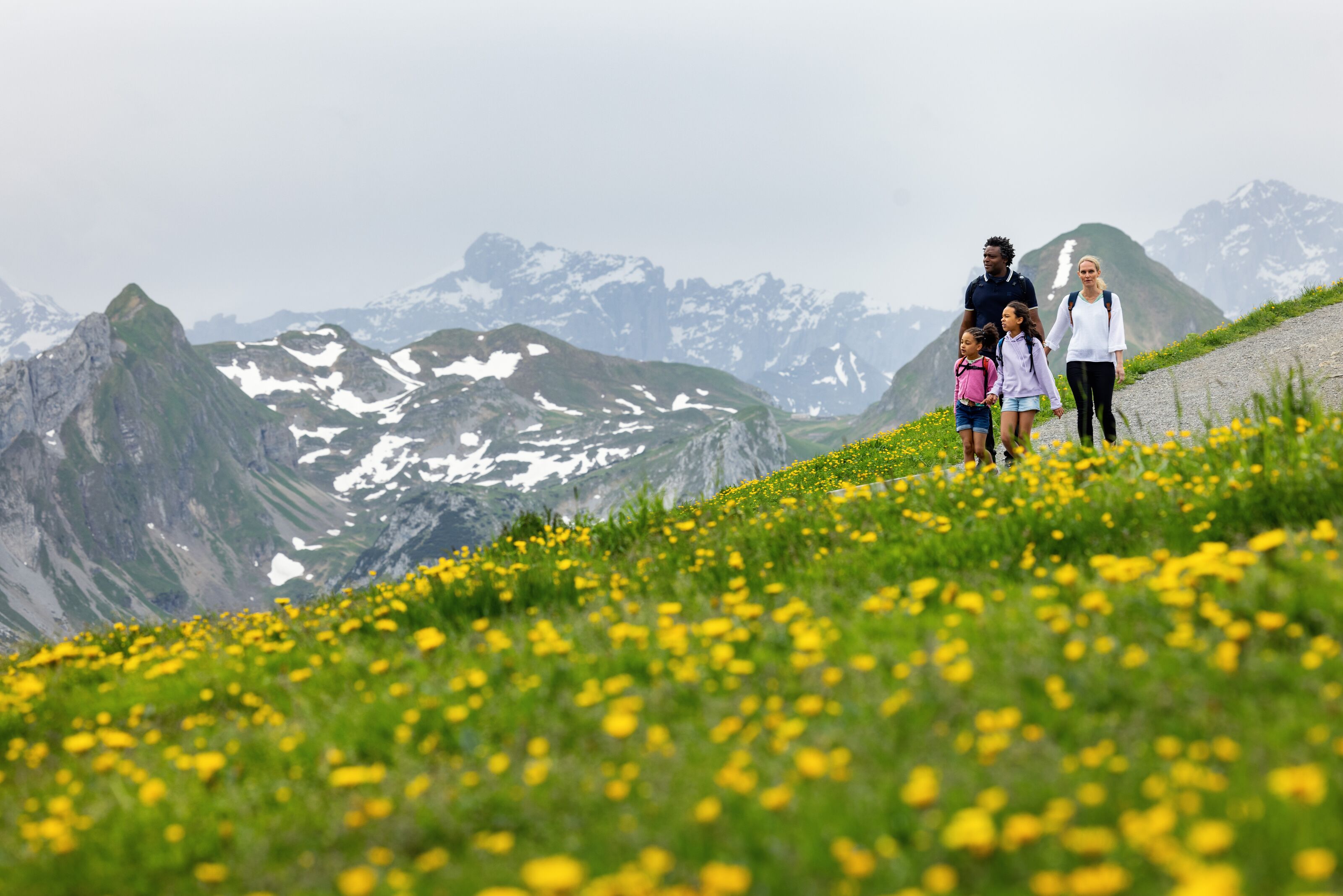 Familie wandert durch eine blühende Bergwiese mit Blick auf schneebedeckte Gipfel.