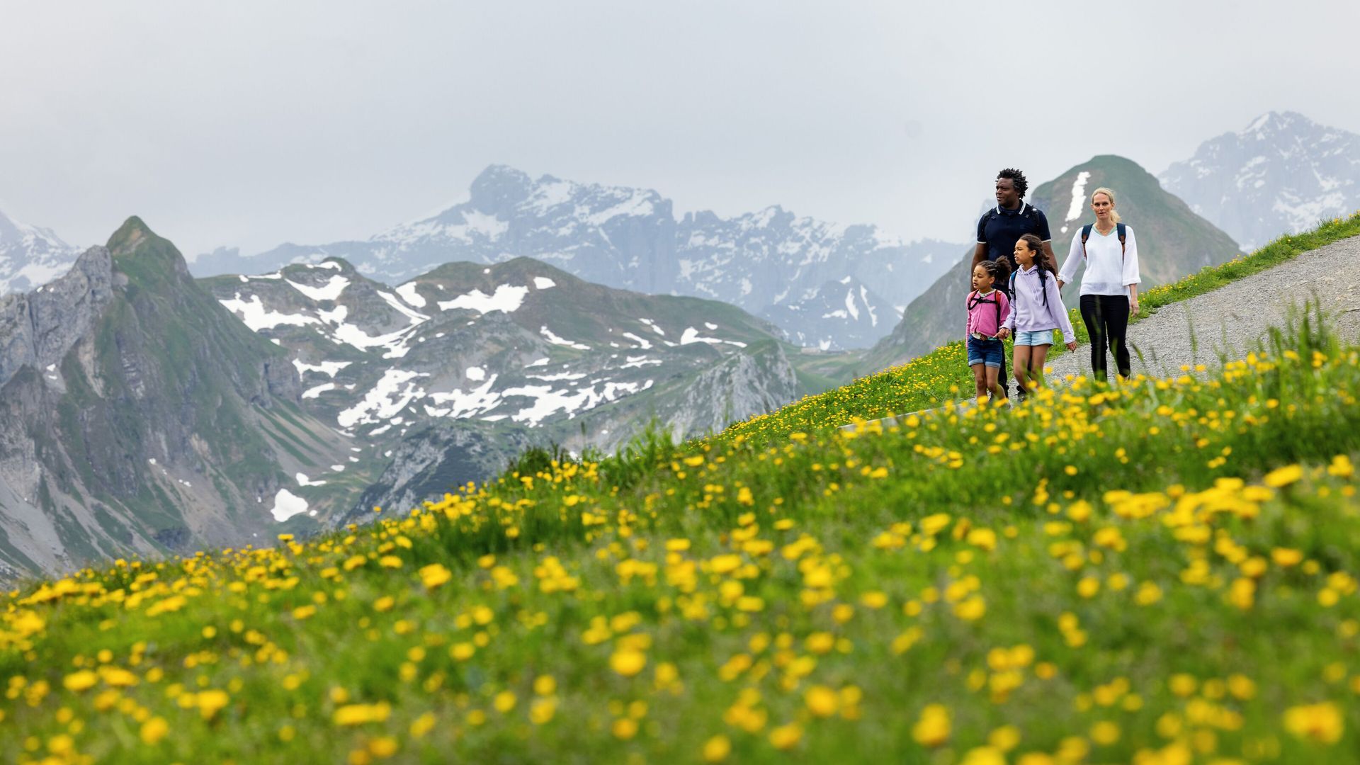 Familie wandert durch eine blühende Bergwiese mit Blick auf schneebedeckte Gipfel.