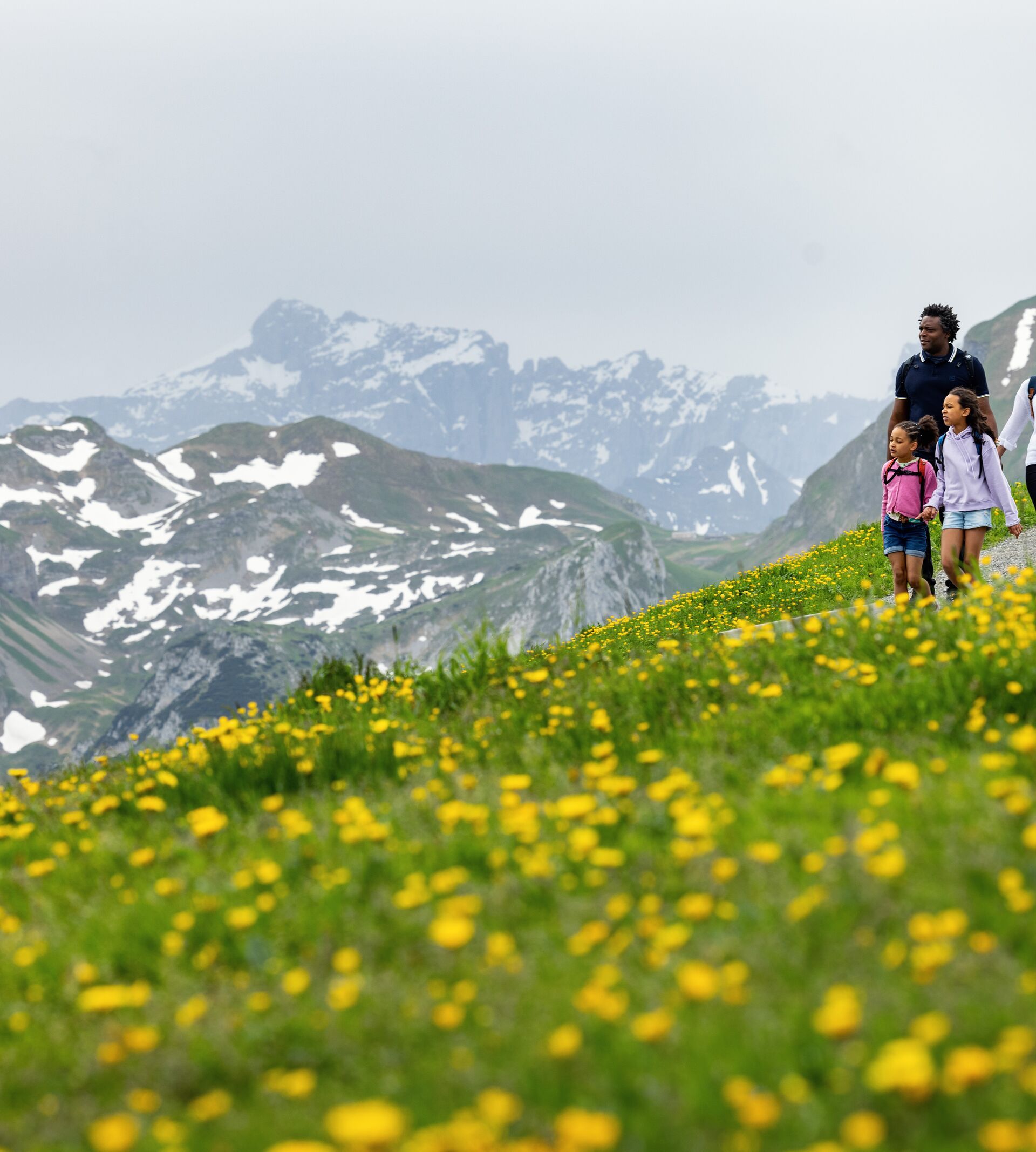 Family hiking through a blooming mountain meadow with views of snow-covered peaks.