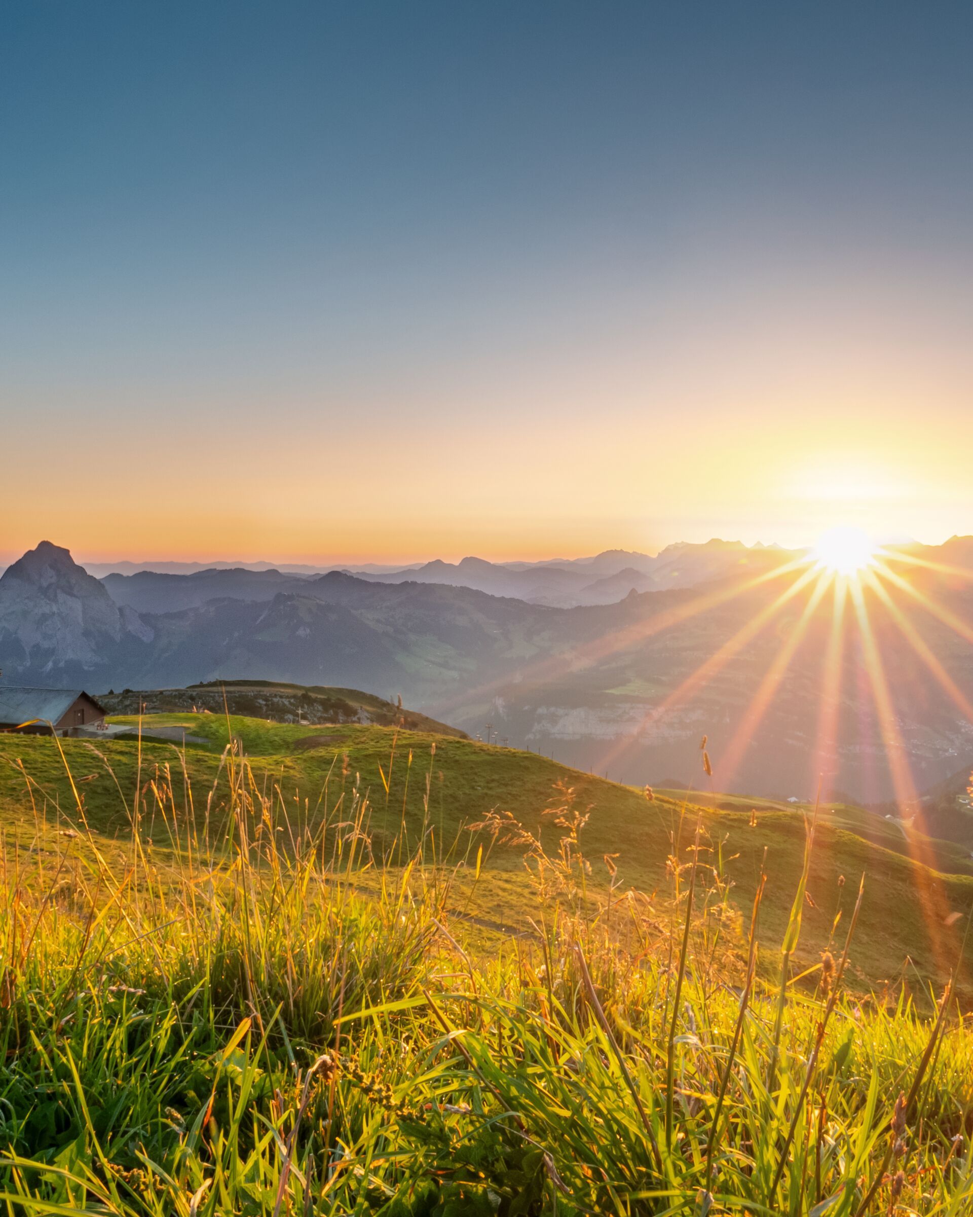 Sonnenaufgang über einer alpinen Berglandschaft mit goldenen Wiesen und Blick auf die umliegenden Gipfel.