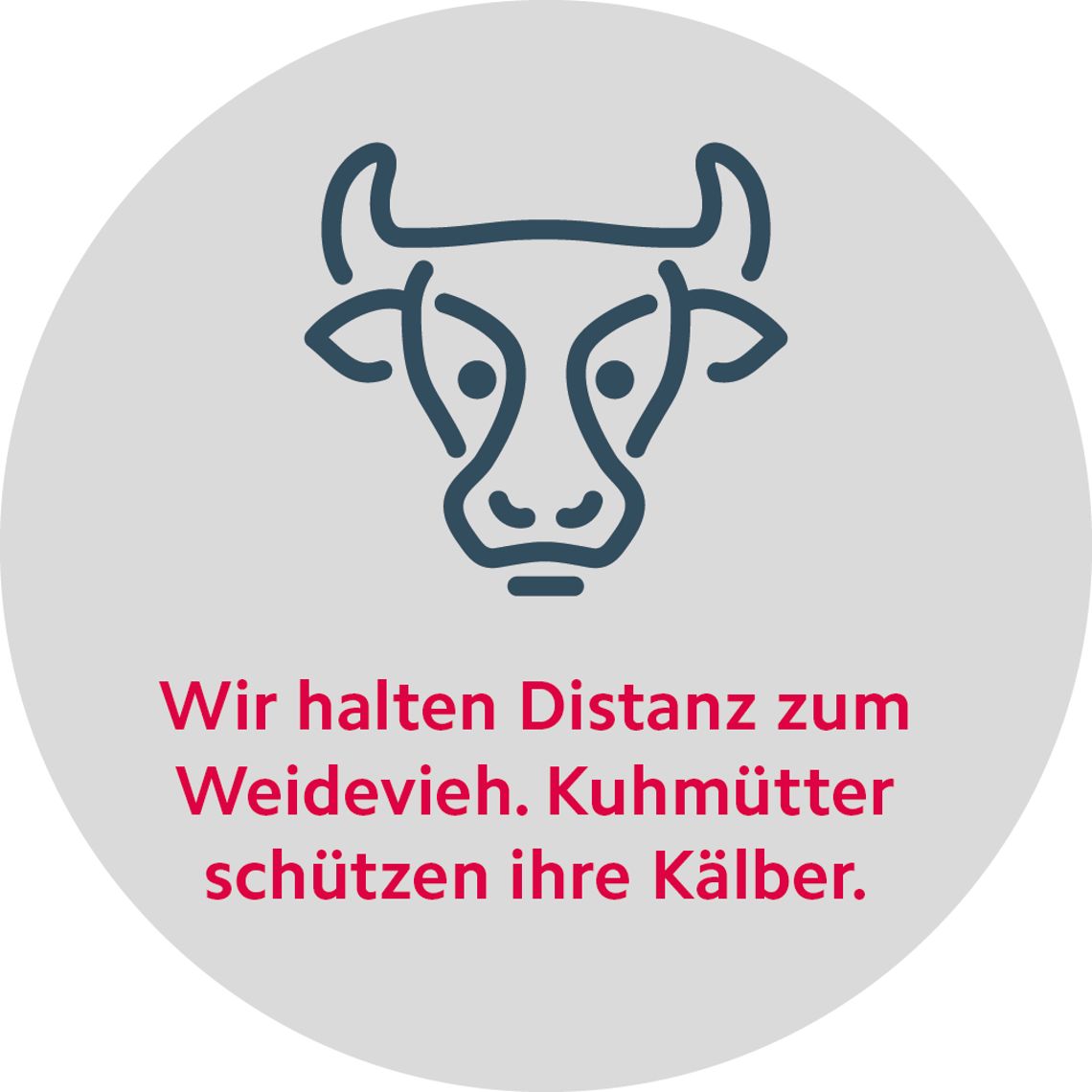 Respektvolles Verhalten im Alpgebiet Sommer Regel Distanz Mutterkühe