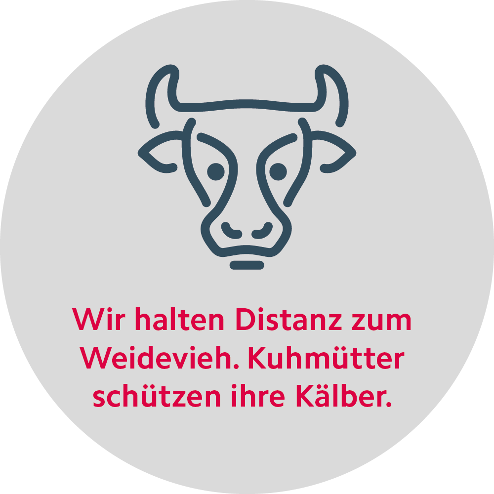 Respektvolles Verhalten im Alpgebiet Sommer Regel Distanz Mutterkühe