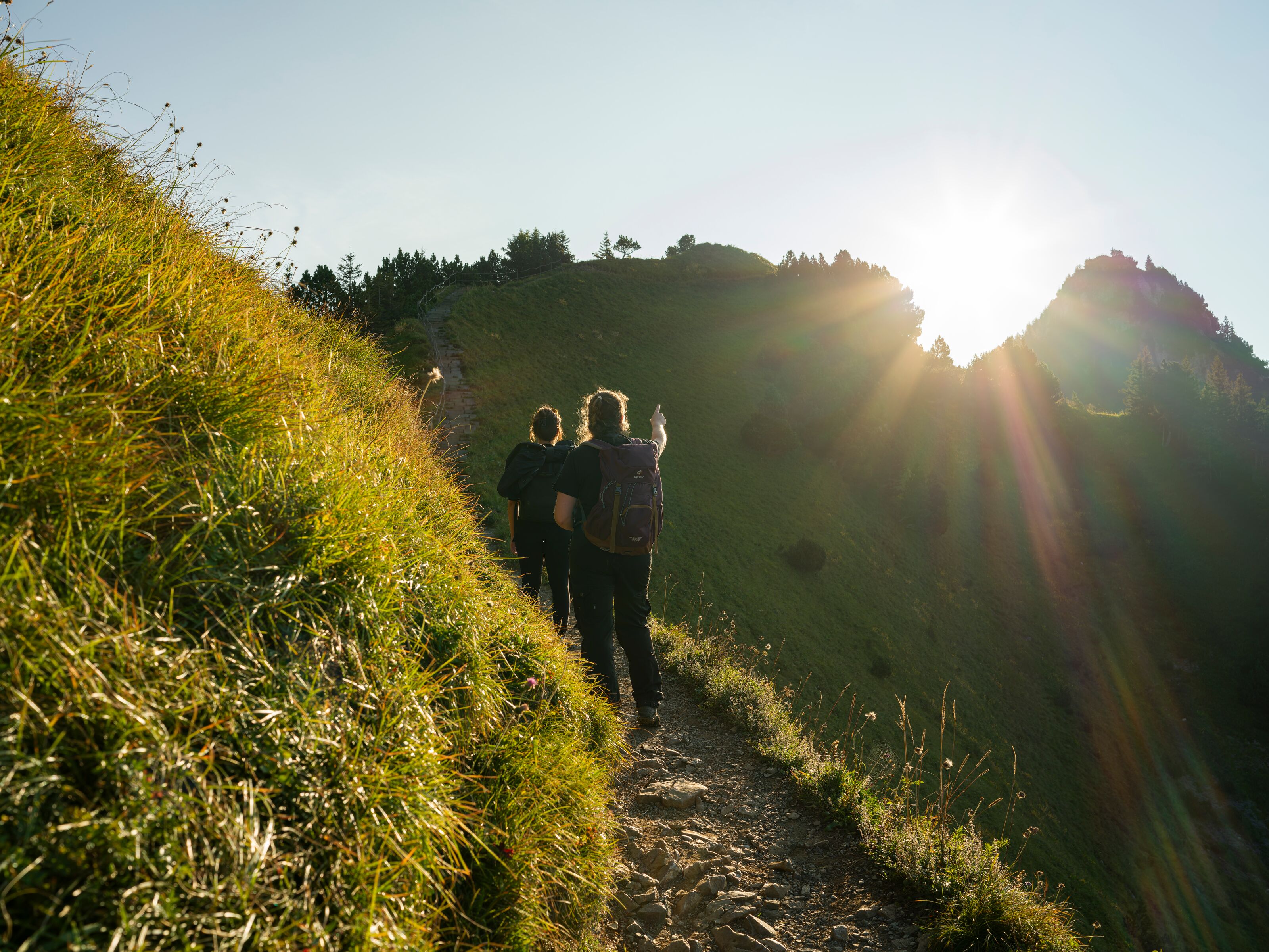 Two hikers on a narrow mountain trail in backlight of the sun, surrounded by green slopes.
