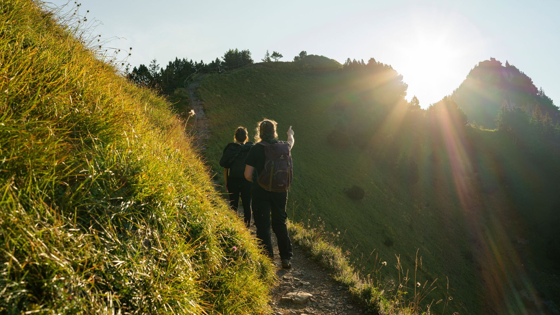 Two hikers on a narrow mountain trail in backlight of the sun, surrounded by green slopes.
