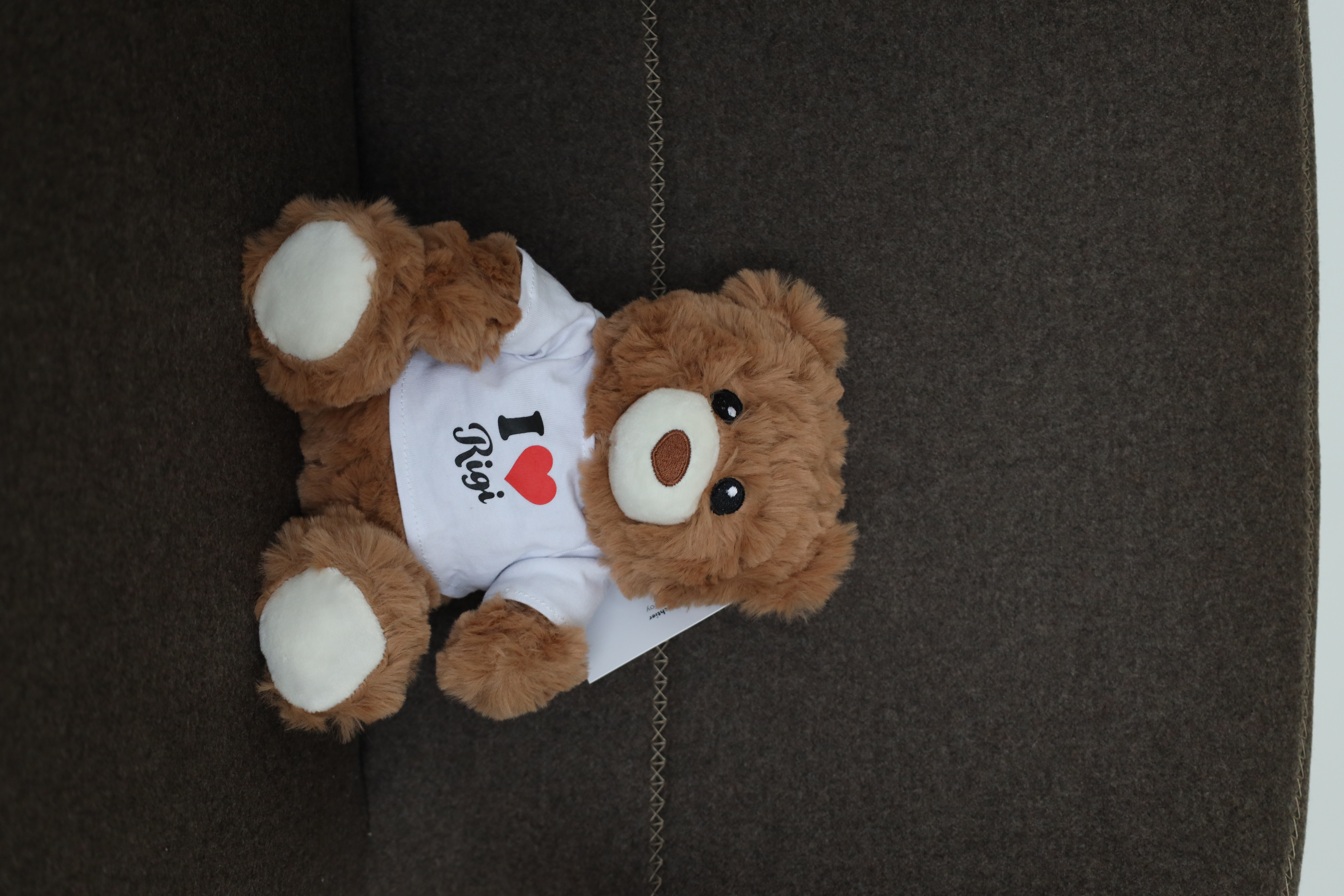 RIGI TEDDYBÄR MIT LIED