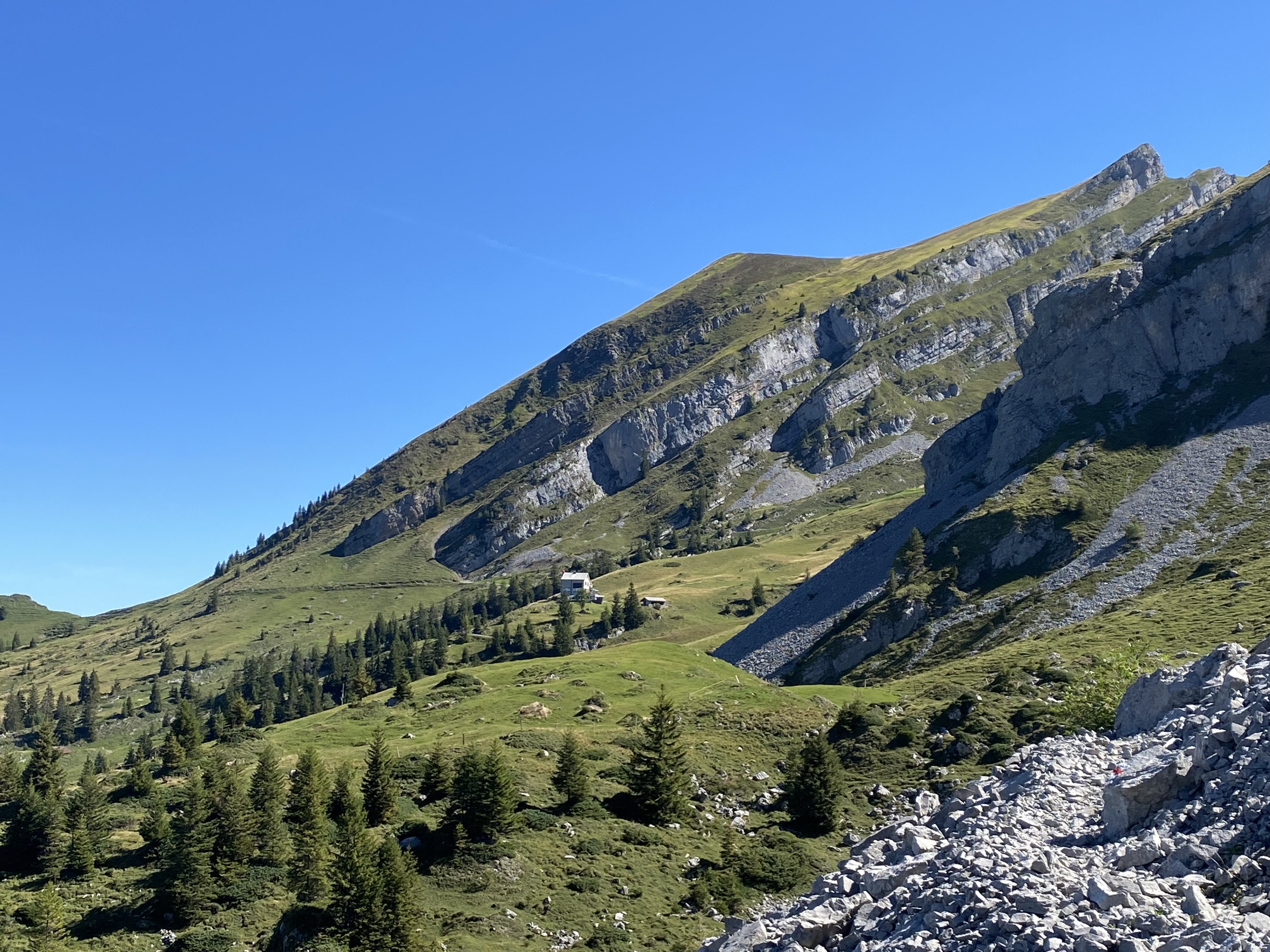 Brisenhaus