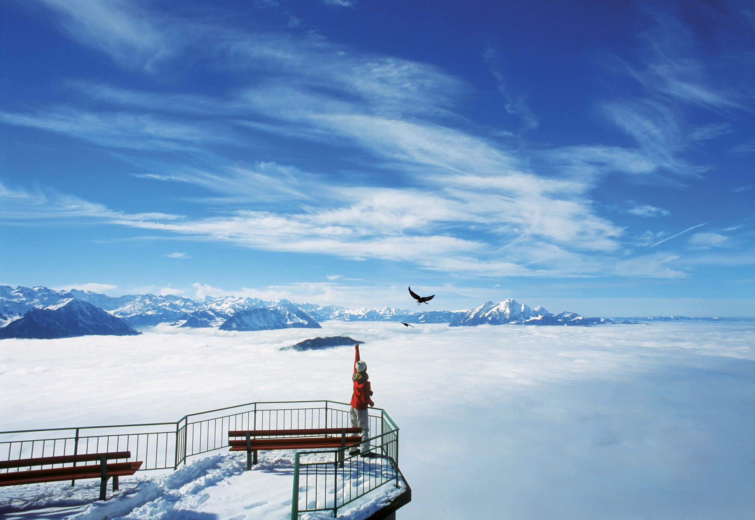 mys-SEEBODENALP & RIGI KALTBAD WANDERTICKET-Känzeli im Winter, Nebelmeer