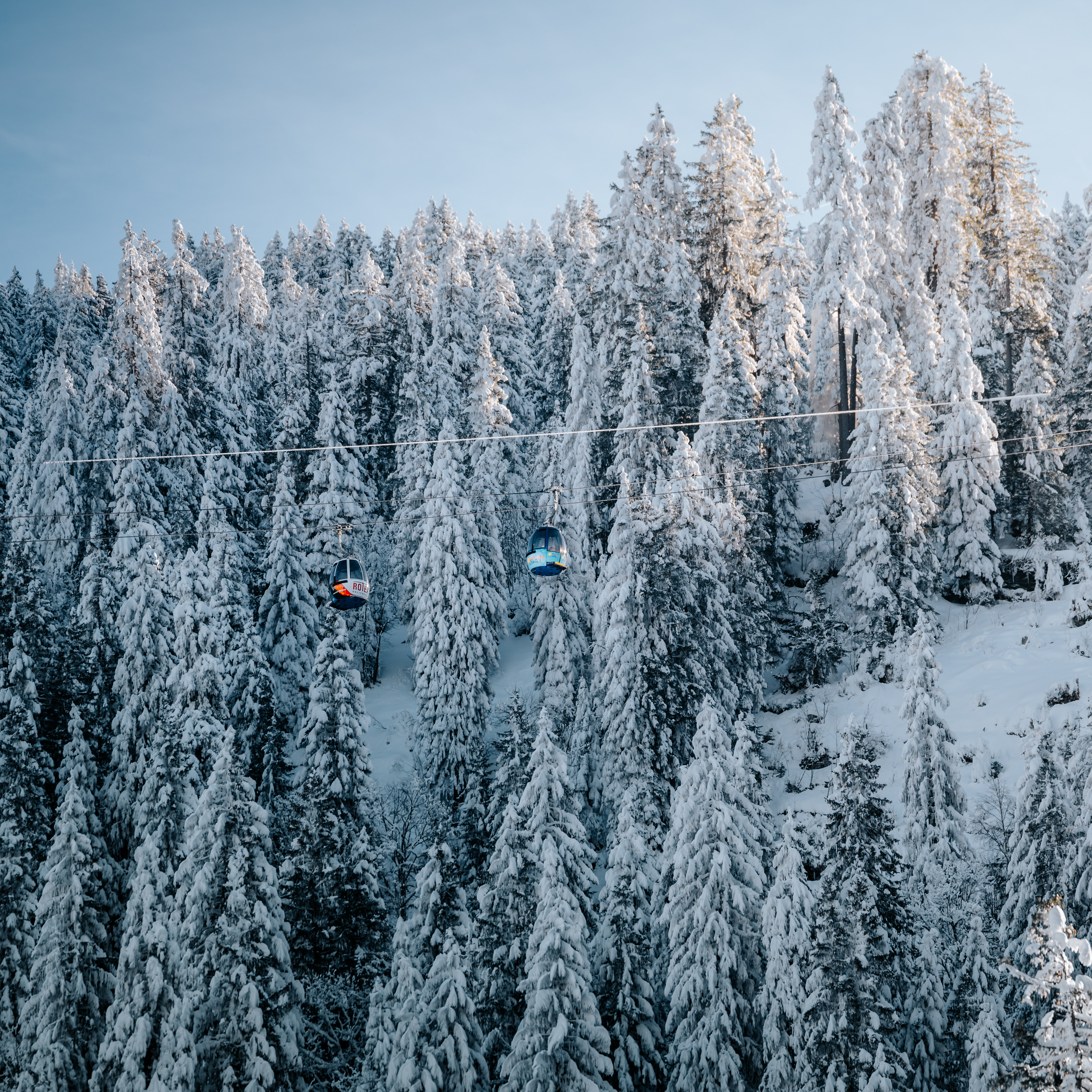 Einzel und Retourfahrten