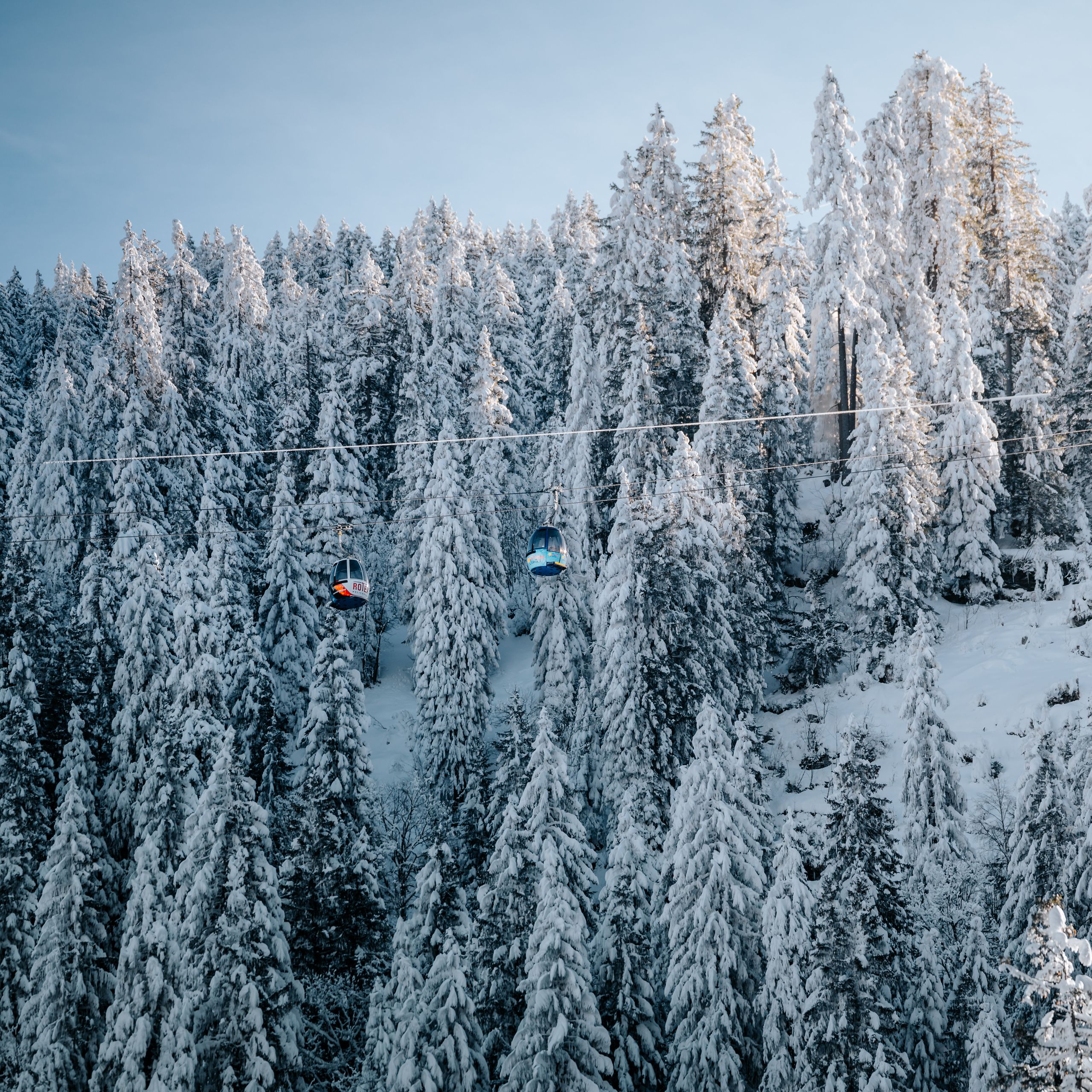 Einzel und Retourfahrten