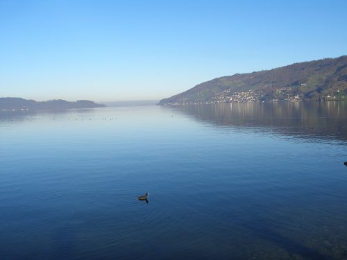 Bed & Breakfast Arth am See - Zugersee