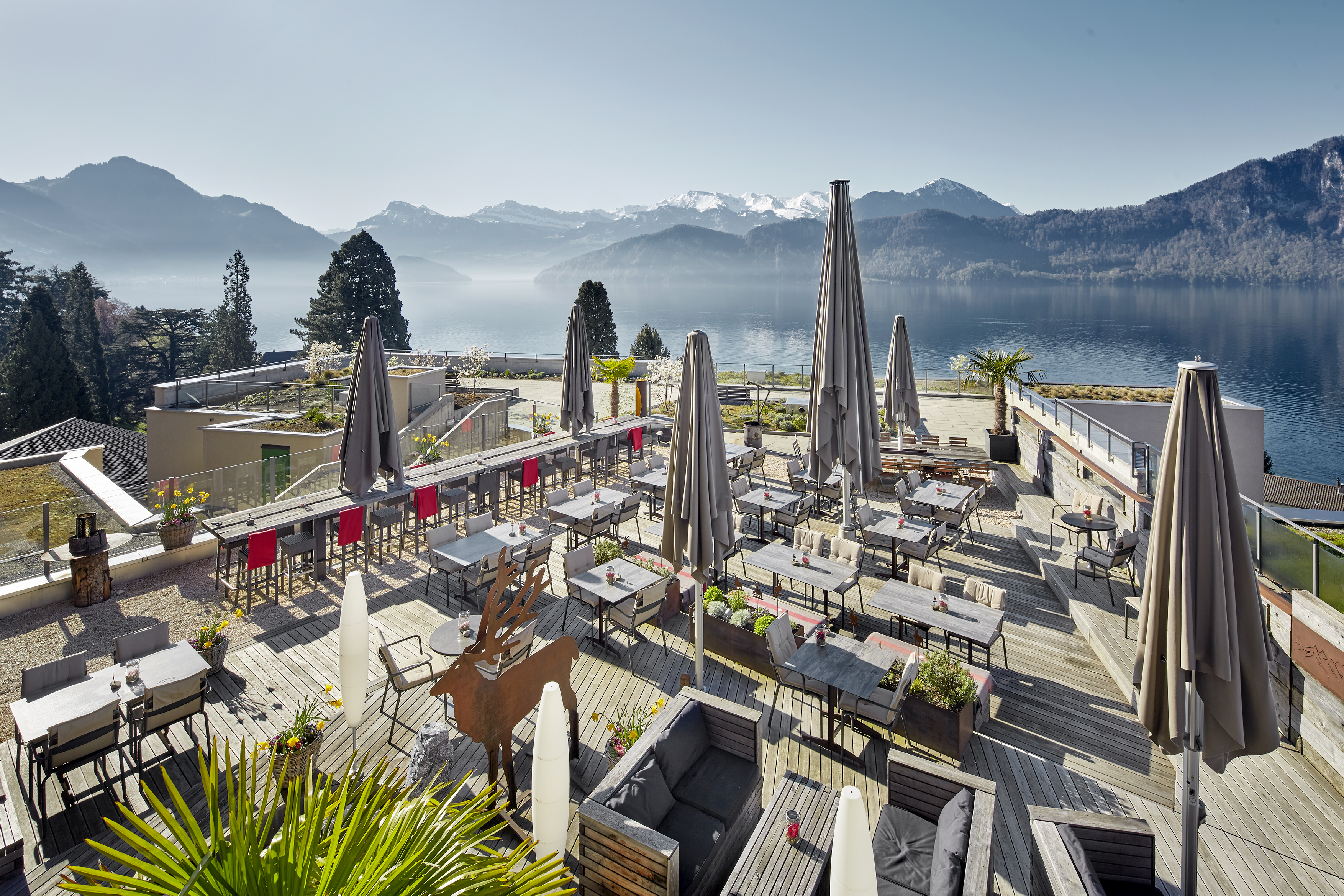 mys-Sunday Yoga & Brunch Hotel Alpenblick | Weggis 2026-Yoga meets Weggis - MyServices Media Upload