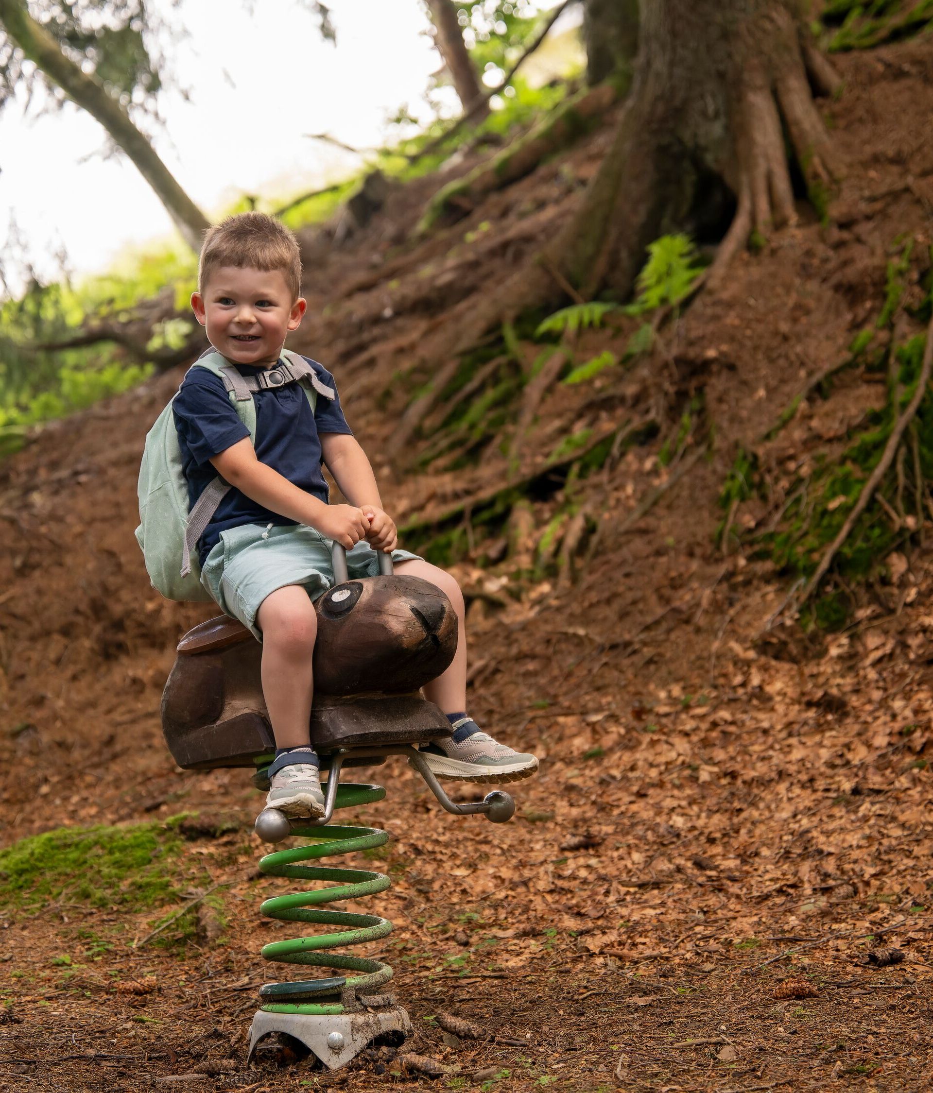 Child playing on a seesaw in the forest, surrounded by trees and natural ground.