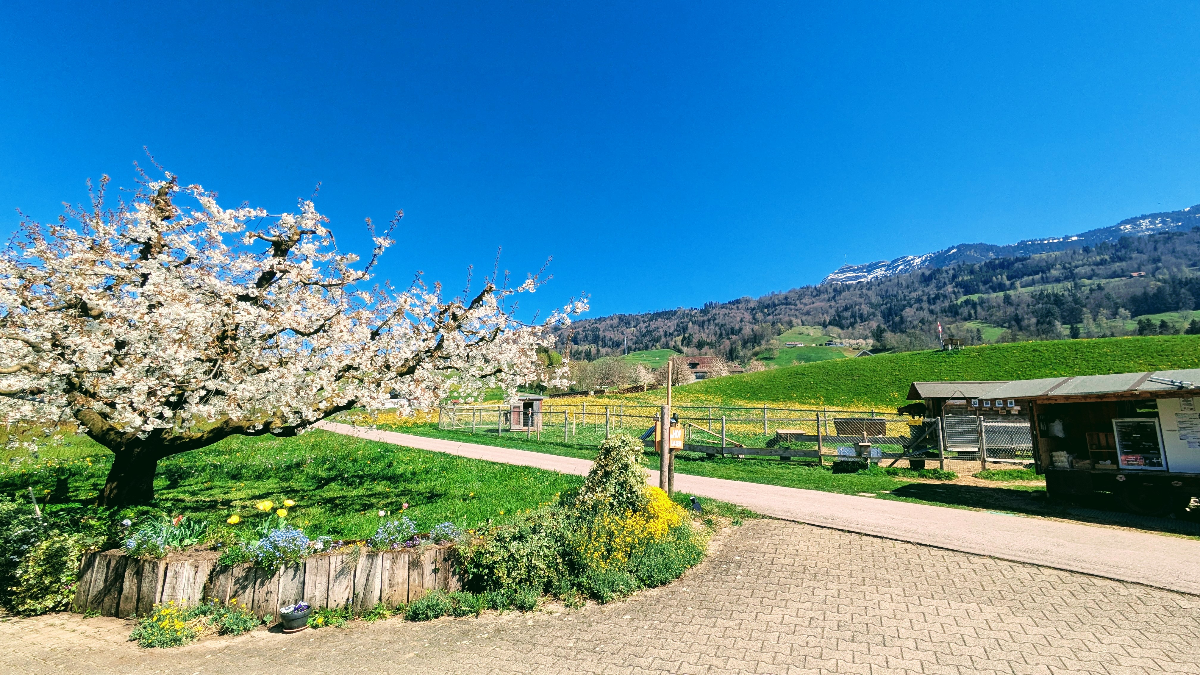 Hof Stadelmatt - Hoftheke