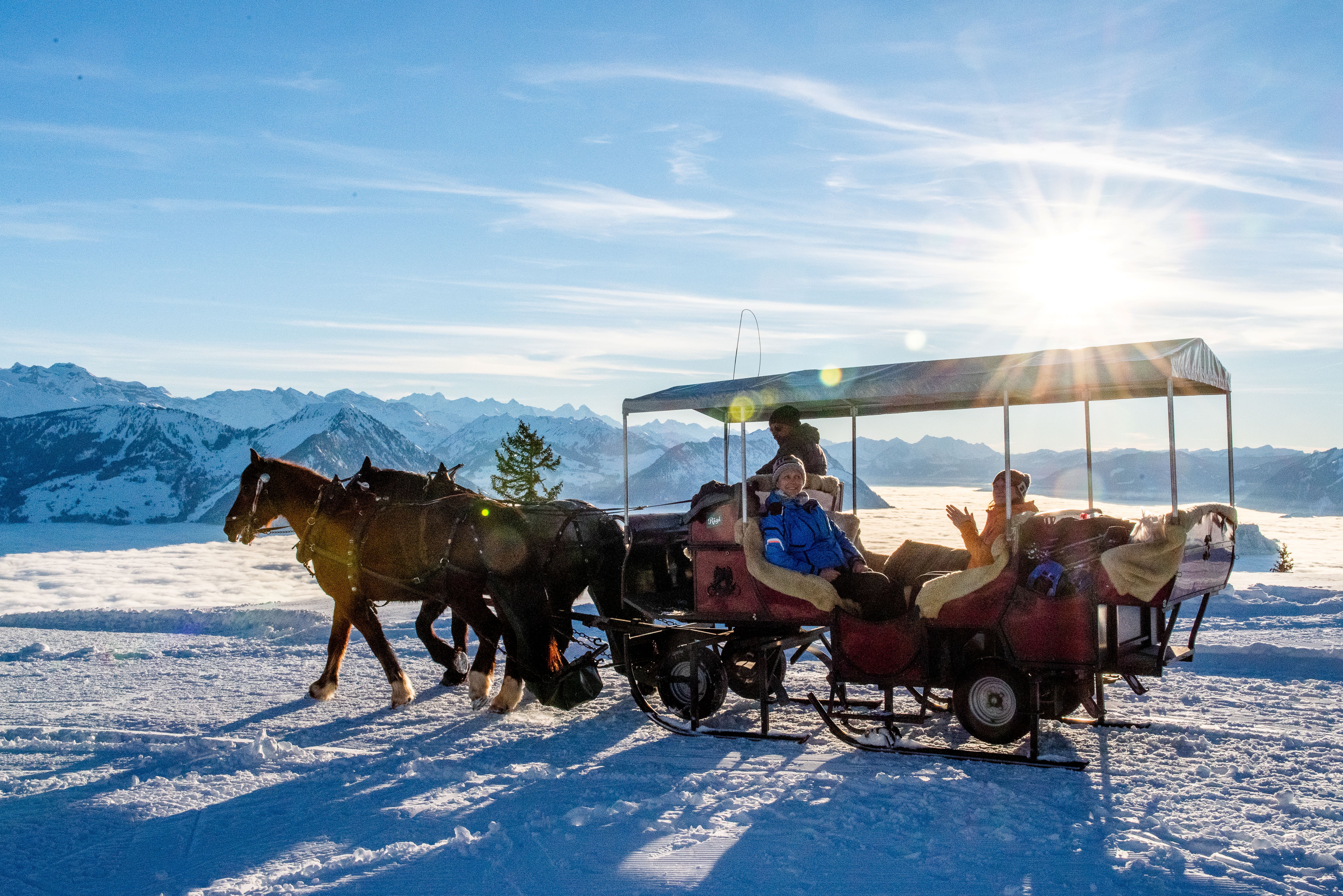 mys-Kutschenfahrt am Abend-Kutschenfahrt Winter Abend