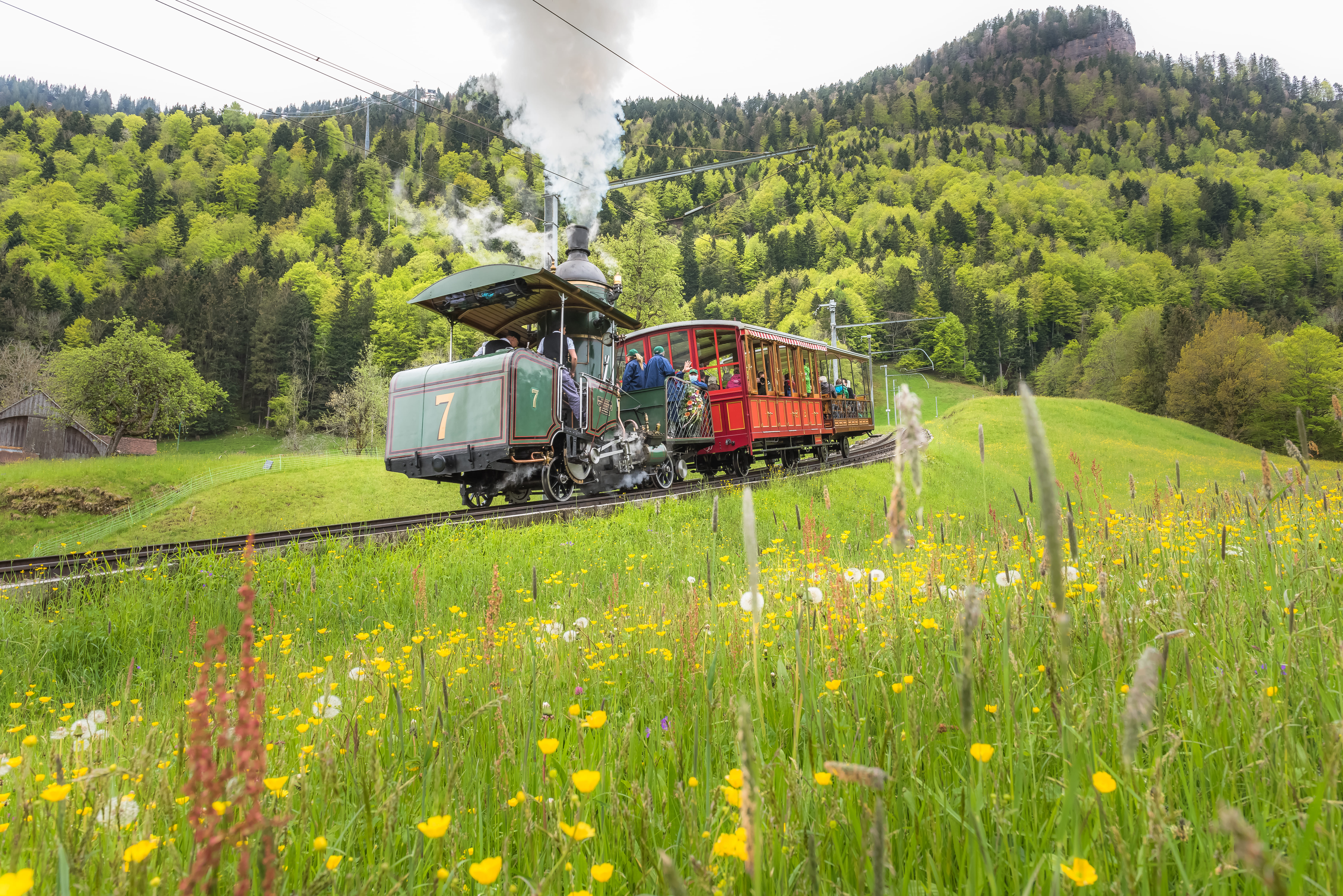 mys-LOK 7 MONTÉE | DE GOLDAU-Lok7 Bergfahrt
