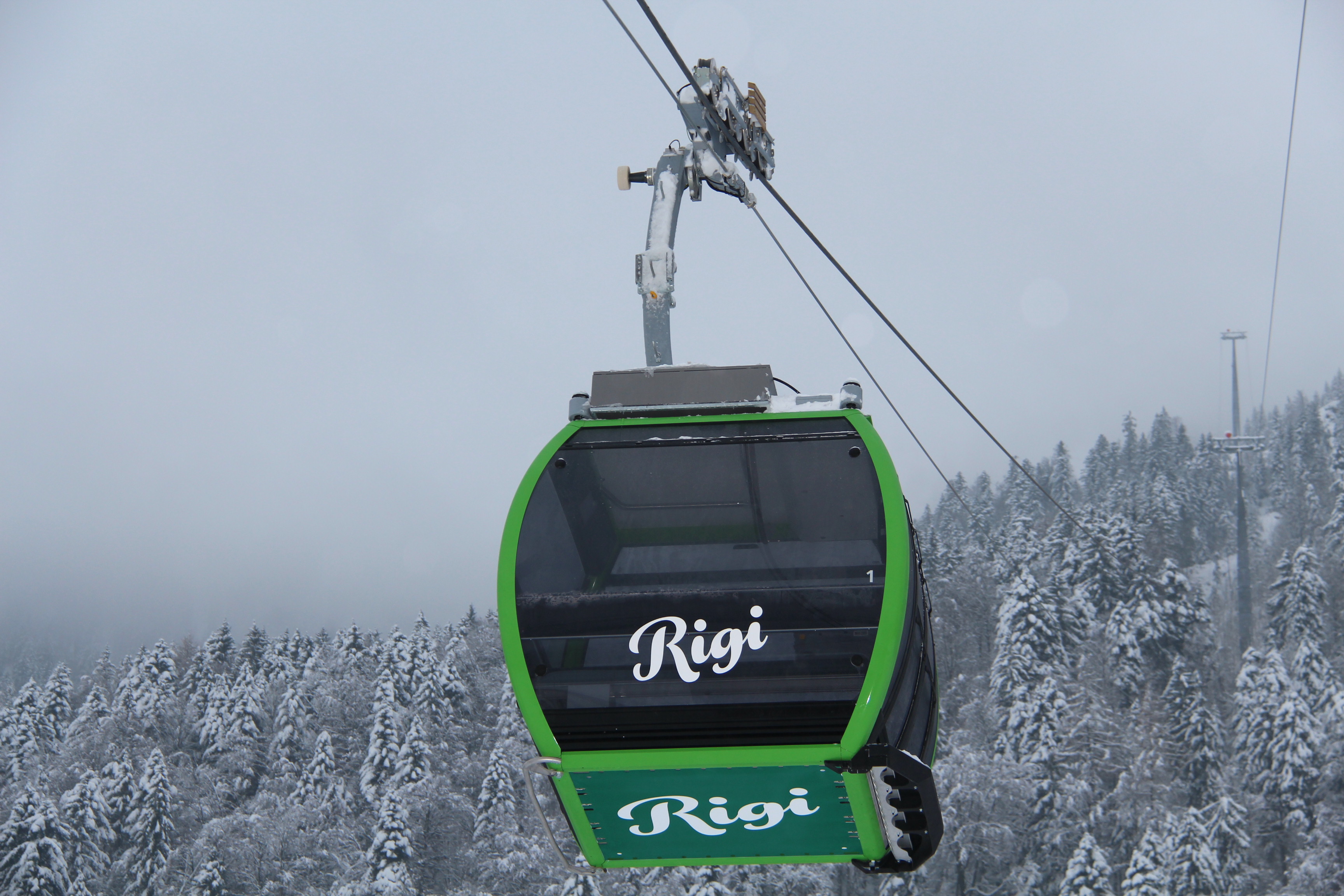 Rigi Winter Tickets LKRS mit Hintergrund weisser Wald