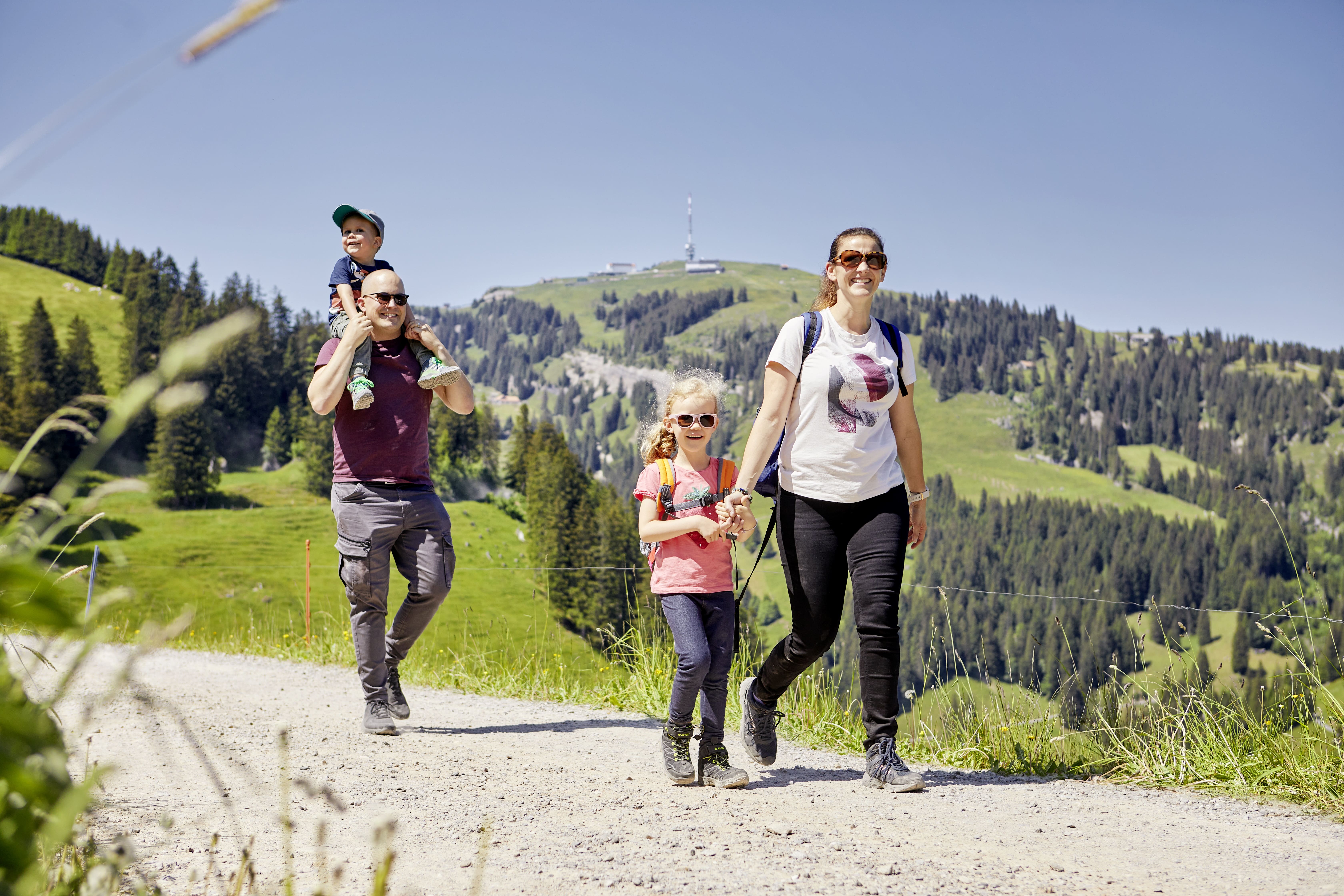 mys-Safari Rigi côté sud | RIGI-Fotopool 2023, Familienwanderung