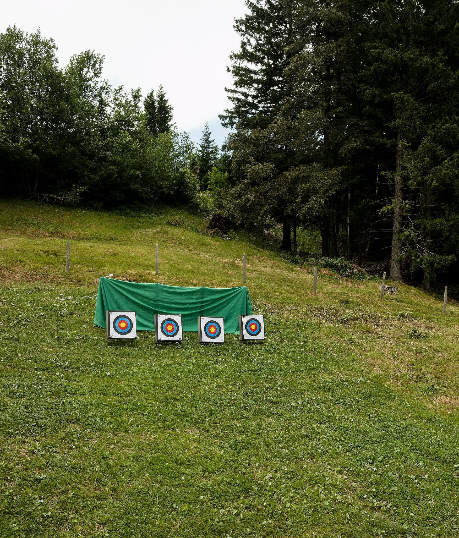 Bogenschiessanlage auf einer Wiese mit Zielscheiben in natürlicher Umgebung.