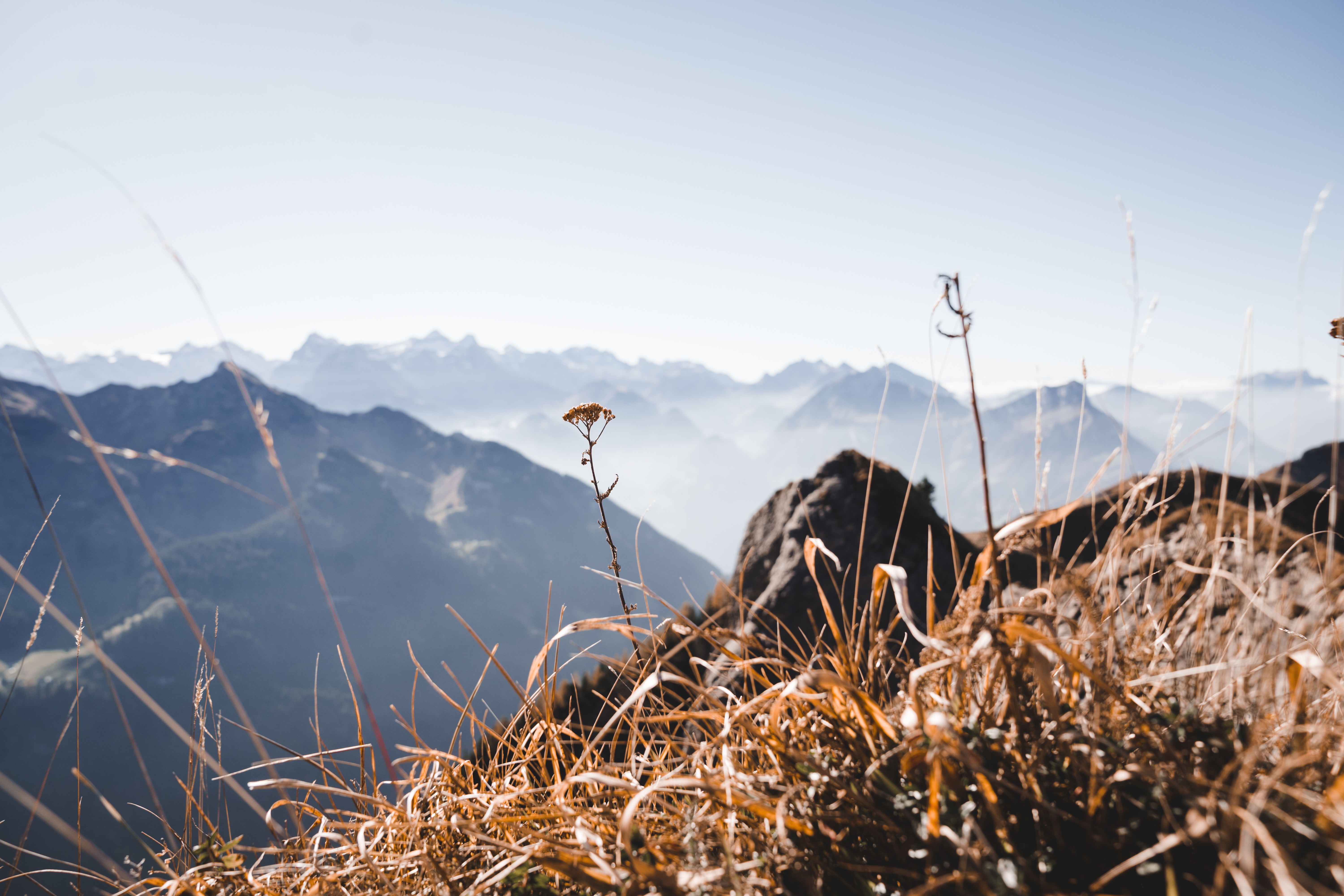 Gräser im Vordergrund auf einem Berggrat mit Blick auf eine weite Alpenlandschaft.