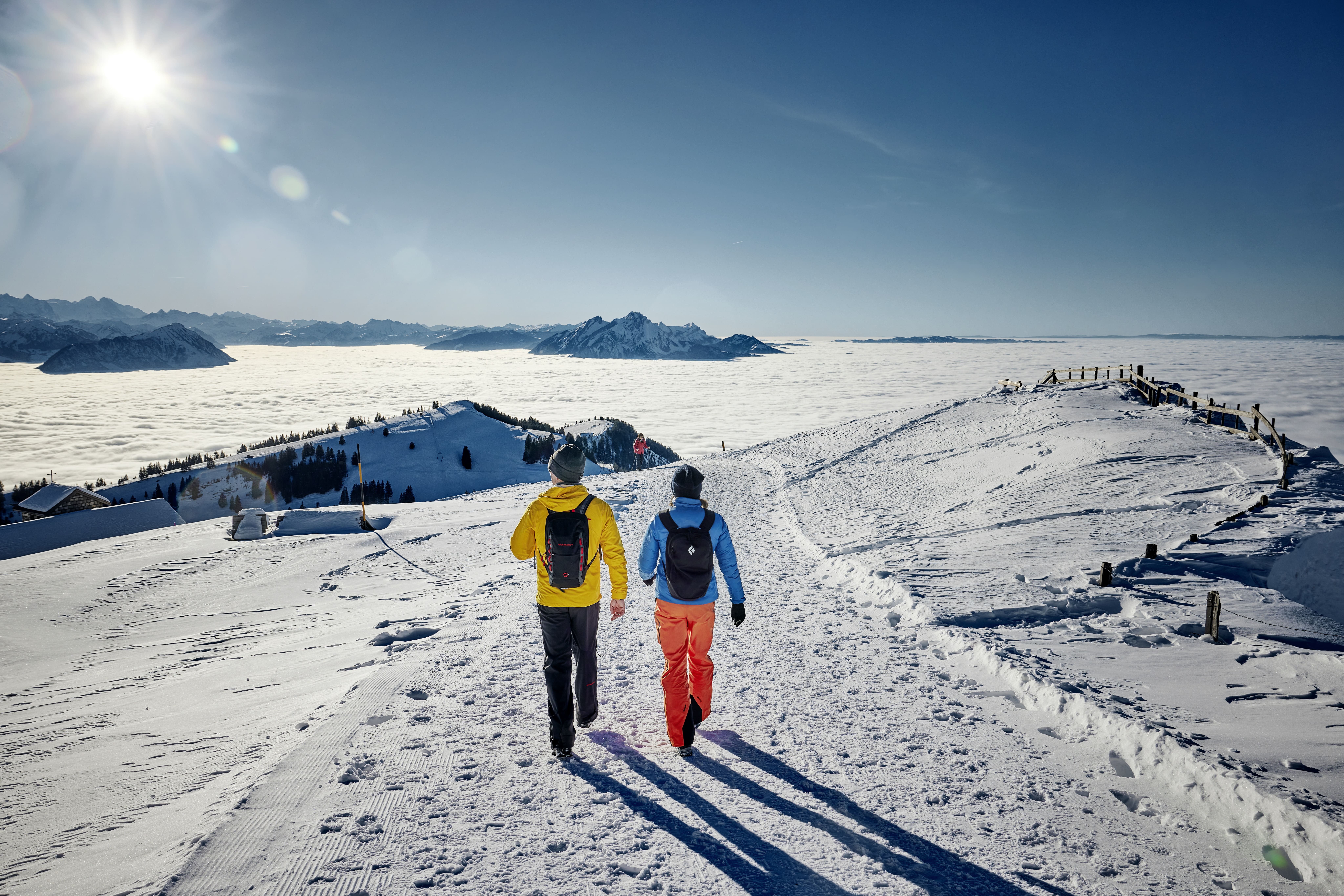 Winterwandern Rigi 