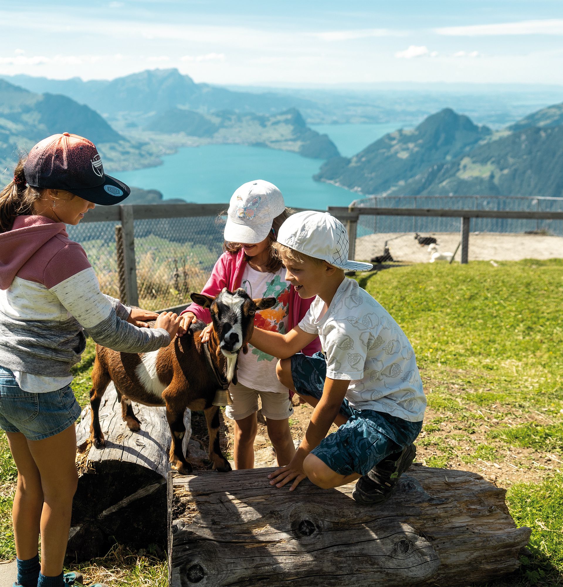 Kinder im Ziegen-Streichelzoo beobachten und streicheln die Tiere.