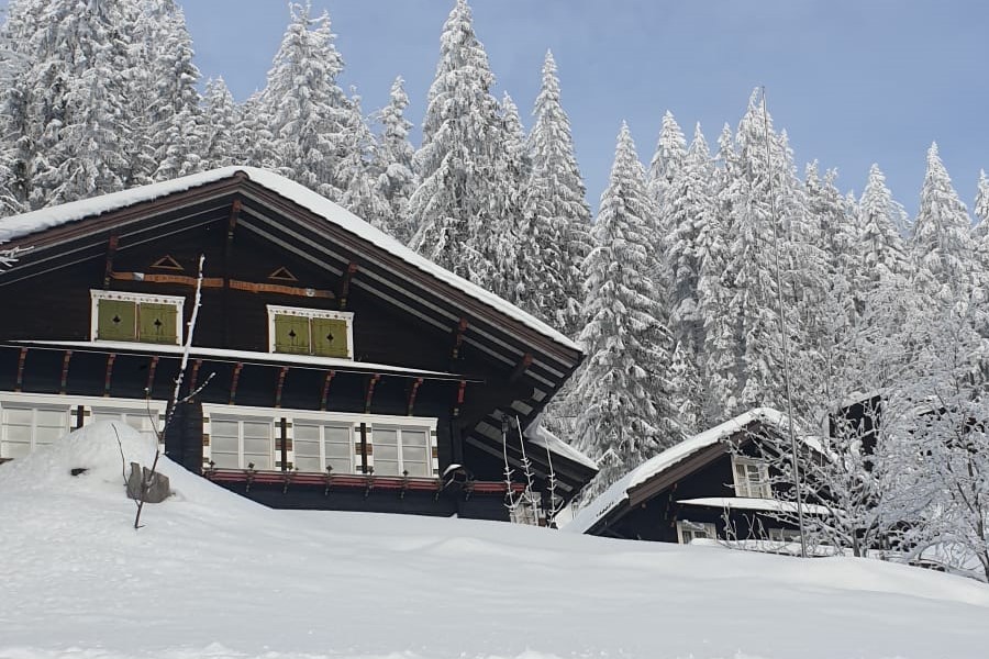 Chalet Bärghuis - Chalet Bärghuis Winter