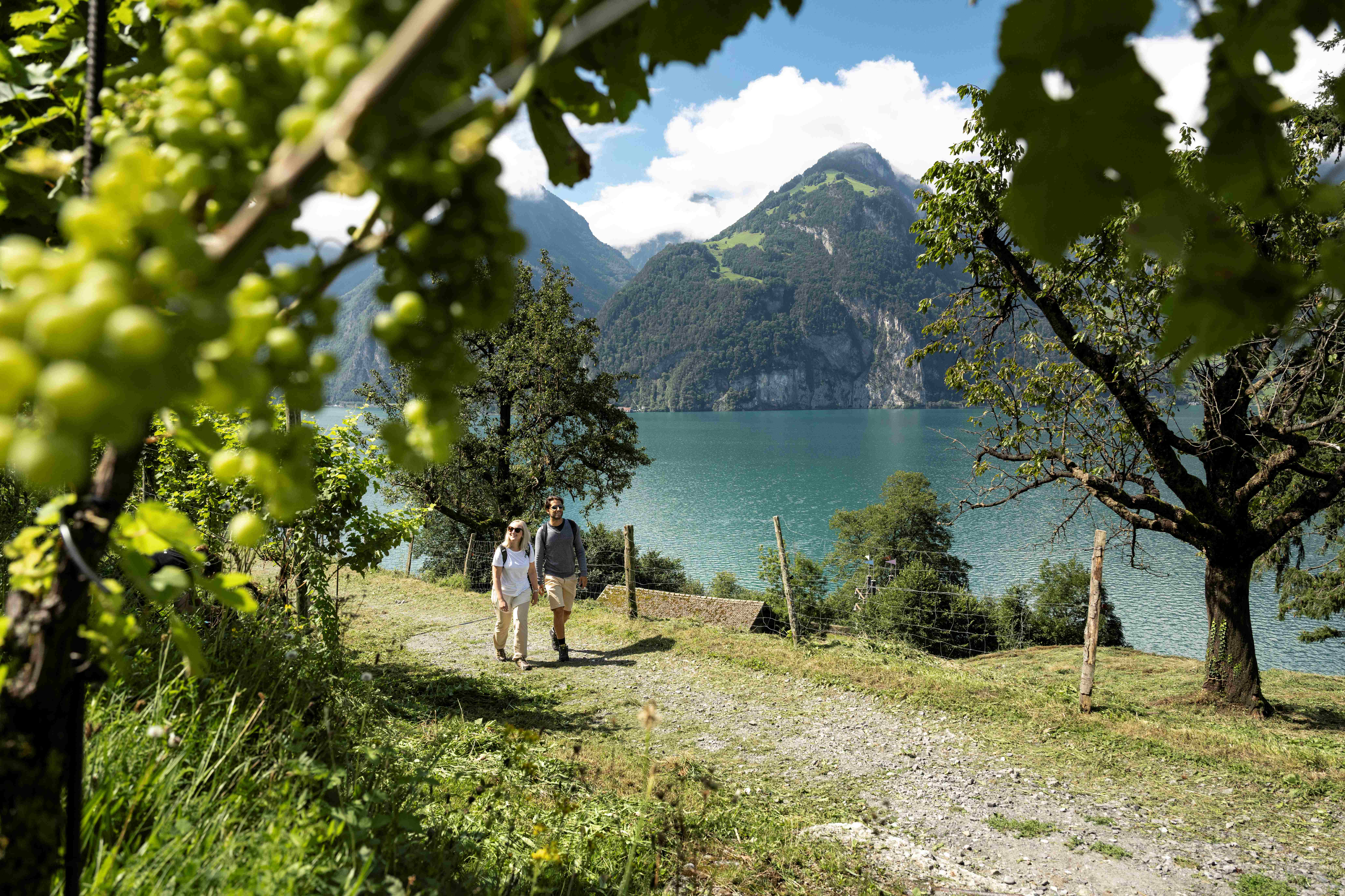 Weg der Schweiz- Wanderung am Vierwaldstättersee entlang - perfekt zum Kombinieren mit einer Schifffahrt. 