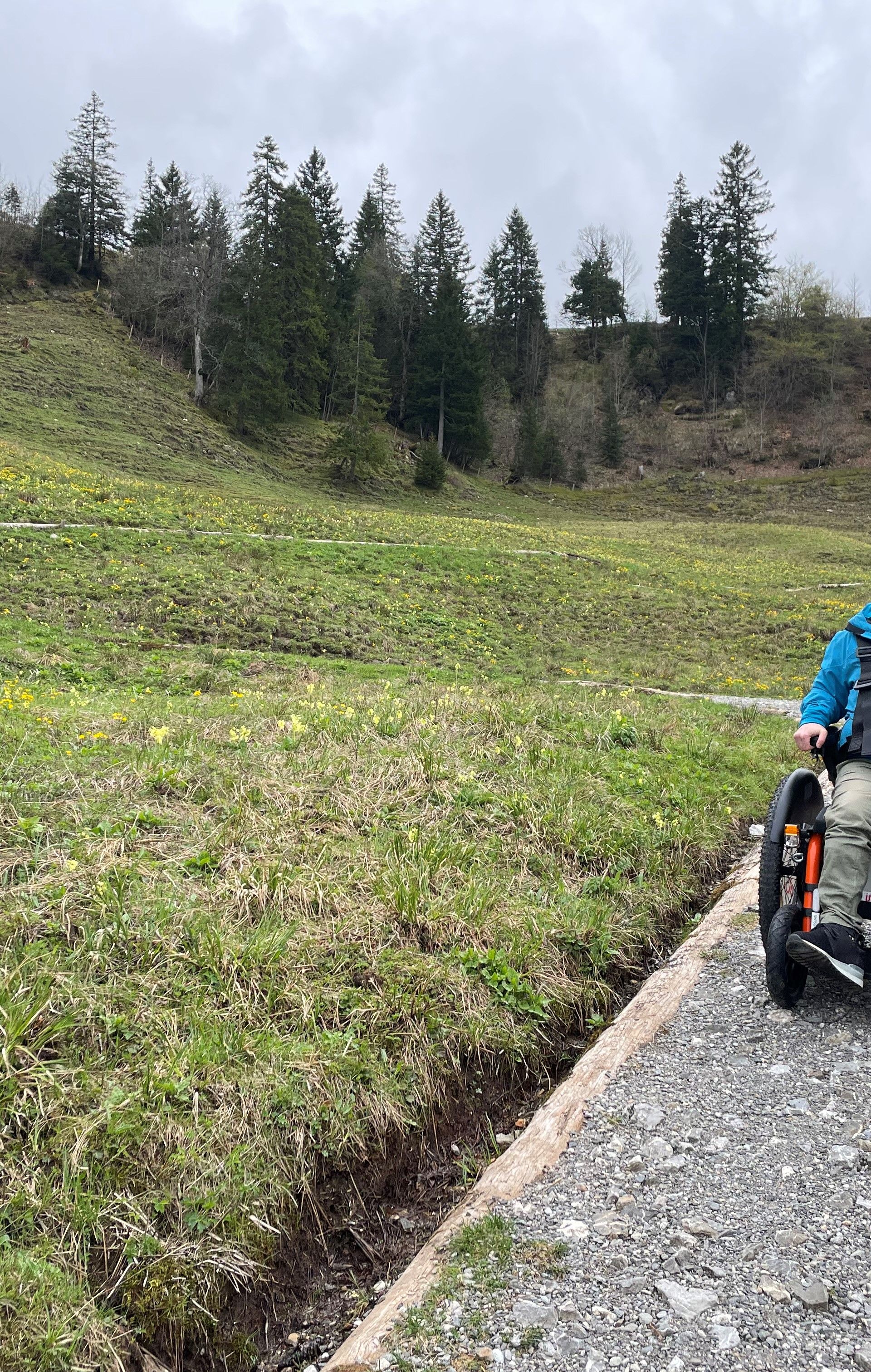 Person fährt mit einem geländegängigen Elektrorollstuhl auf einem Bergweg in alpiner Umgebung.