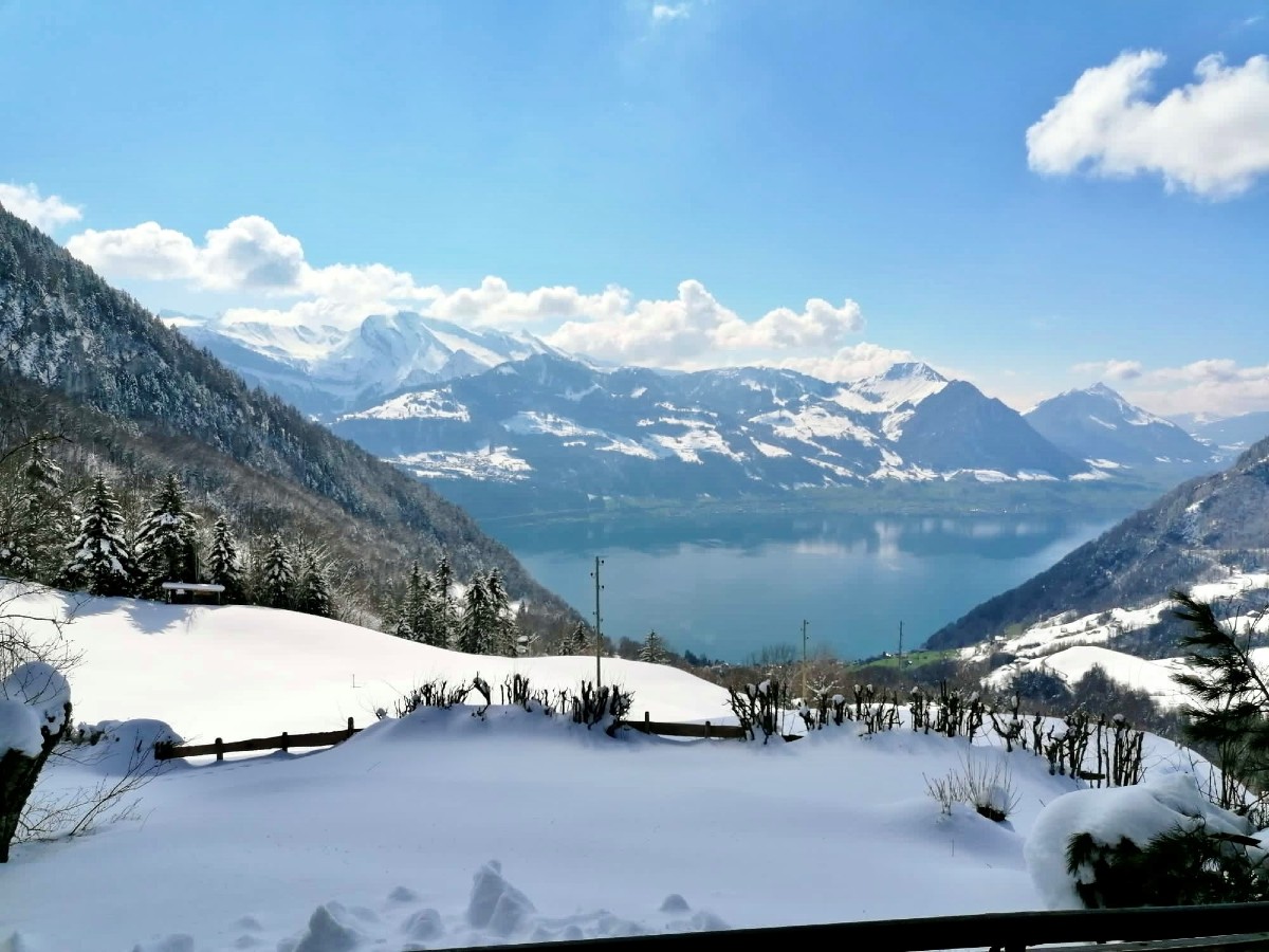 Ferienhaus Käppeliberg - Aussicht Winter