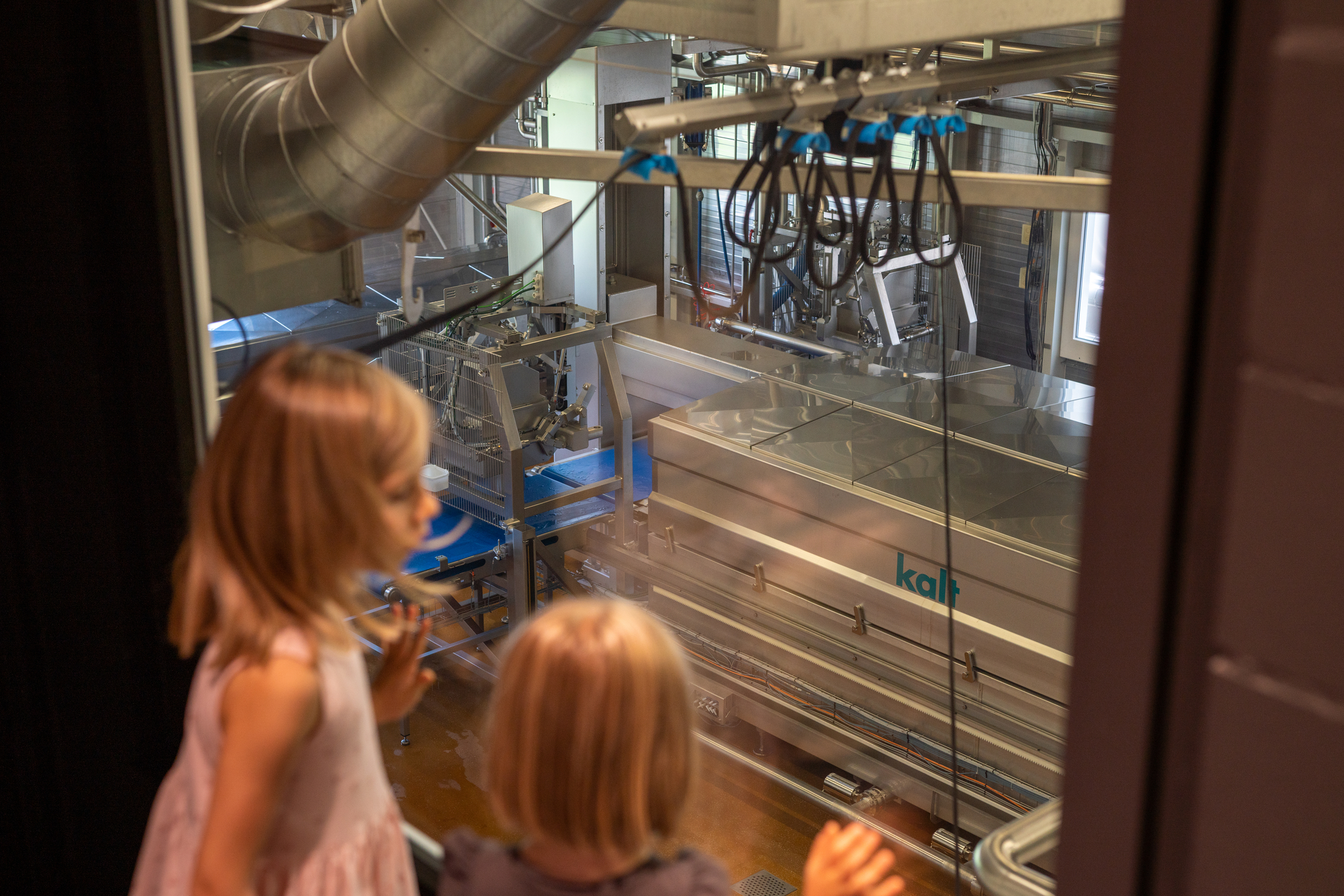 mys-Visite de l’espace découverte de la fromagerie avec apéritif Premium | Marbach-Bild 8