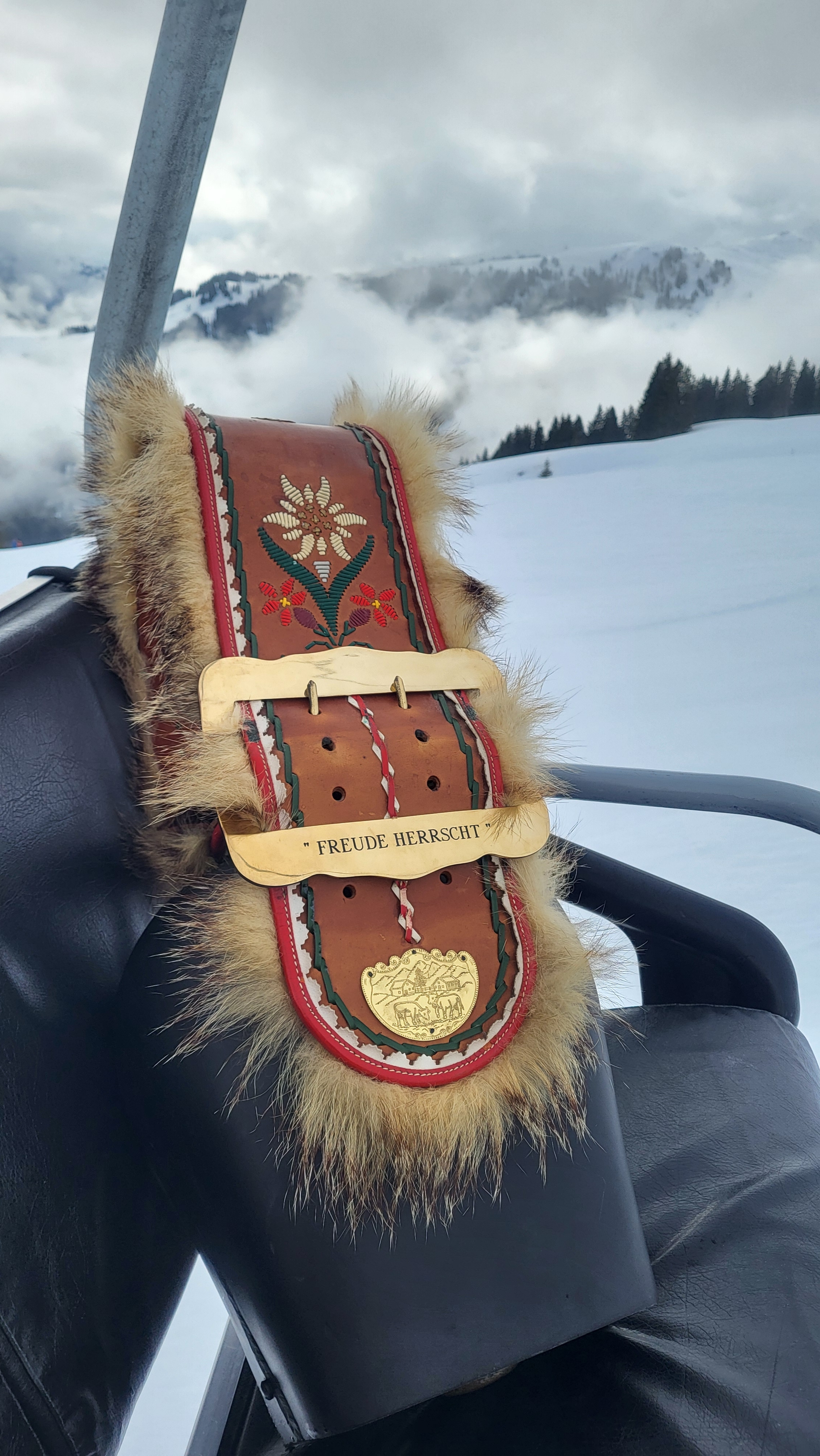 ALPABZUG ZU FUSS: STOOS - FRONALPSTOCK MIT SCHWEIZER TREICHELN