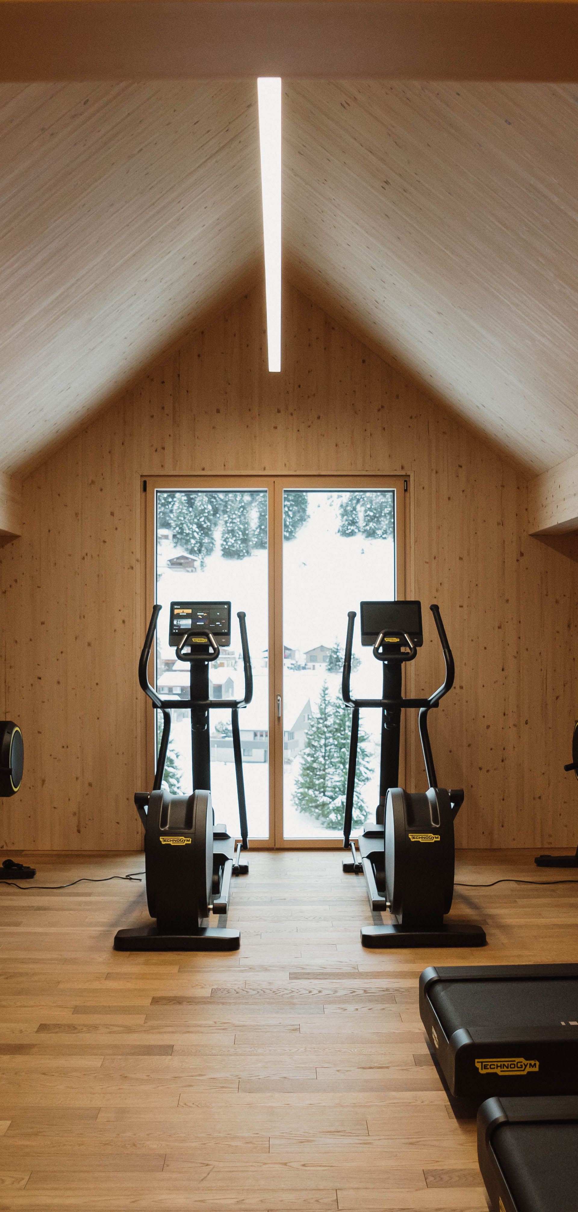 Moderner Fitnessraum mit Trainingsgeräten und Blick nach draussen.